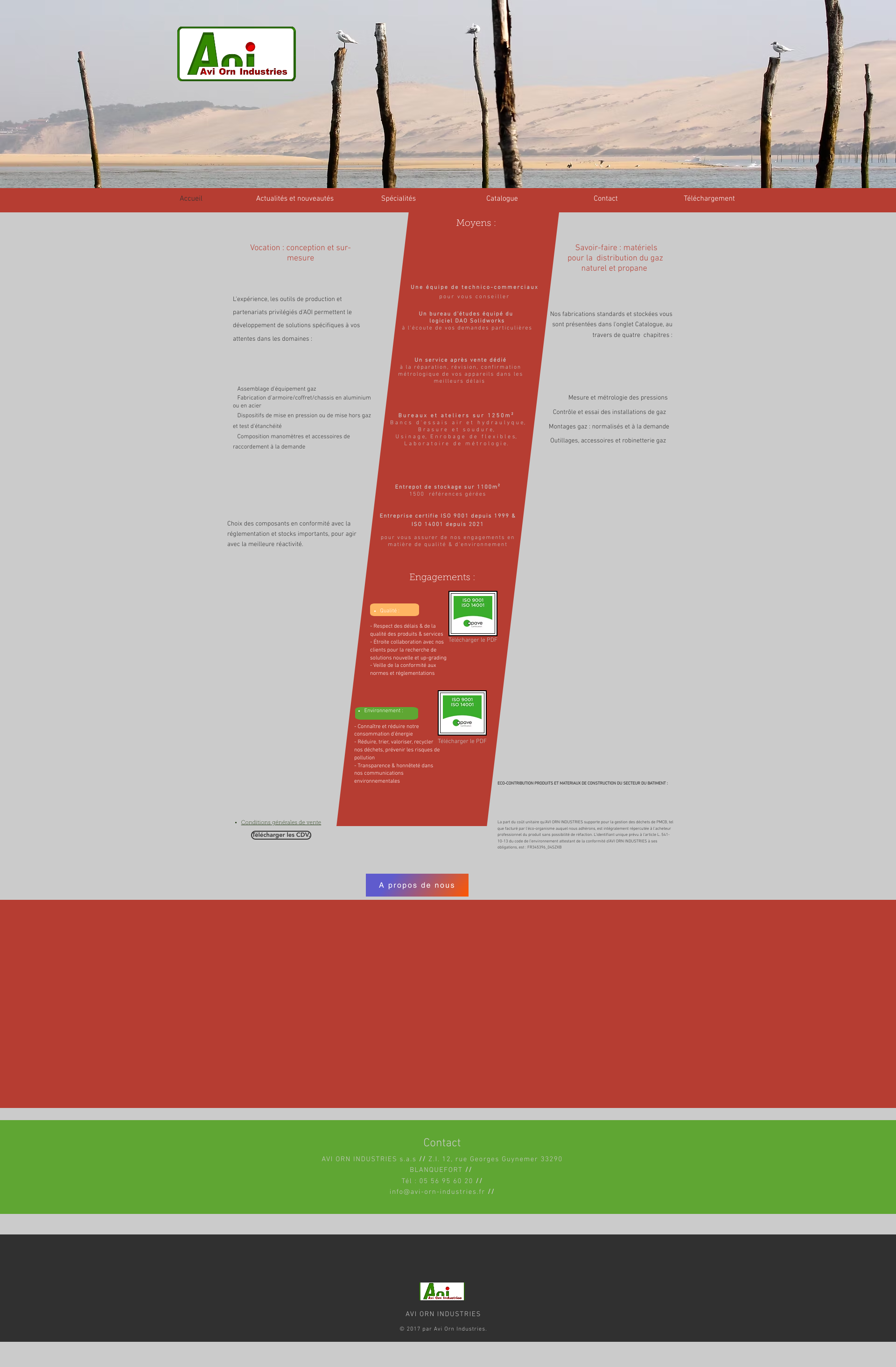 Aperçu du site