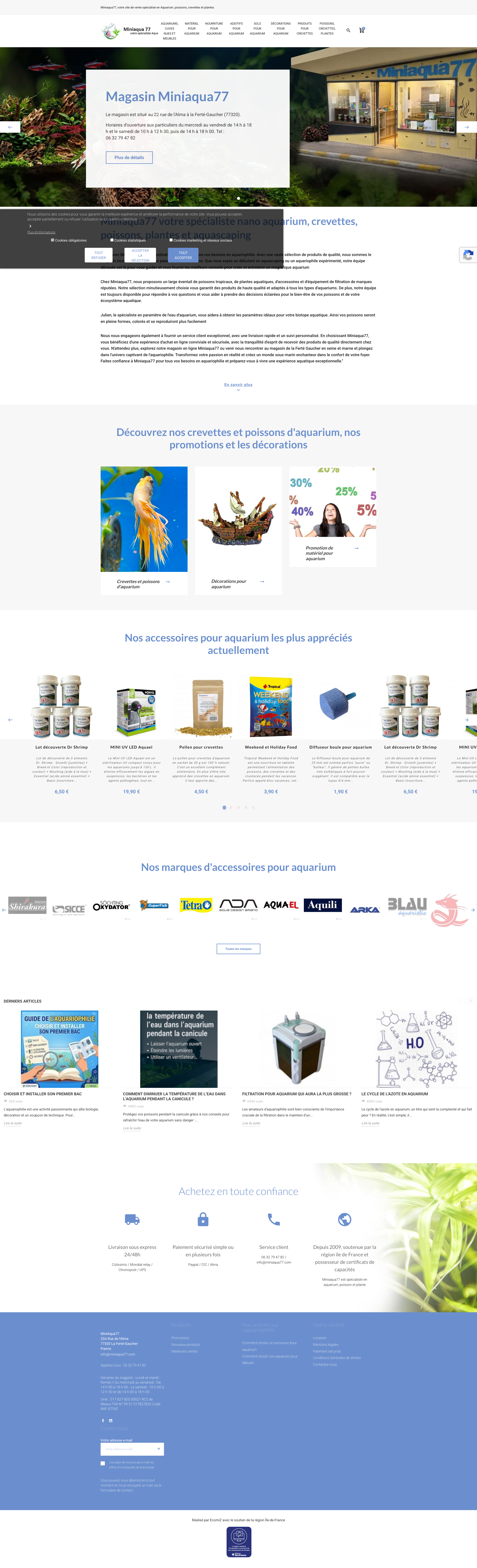Aperçu du site