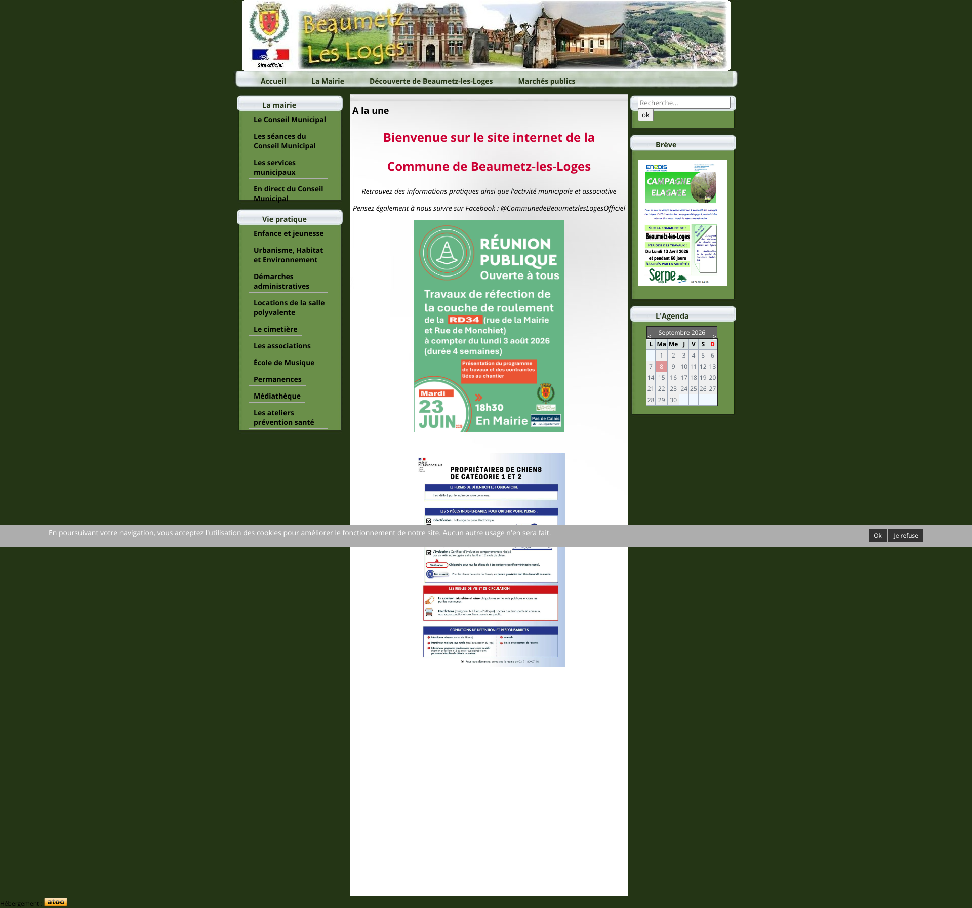 Aperçu du site