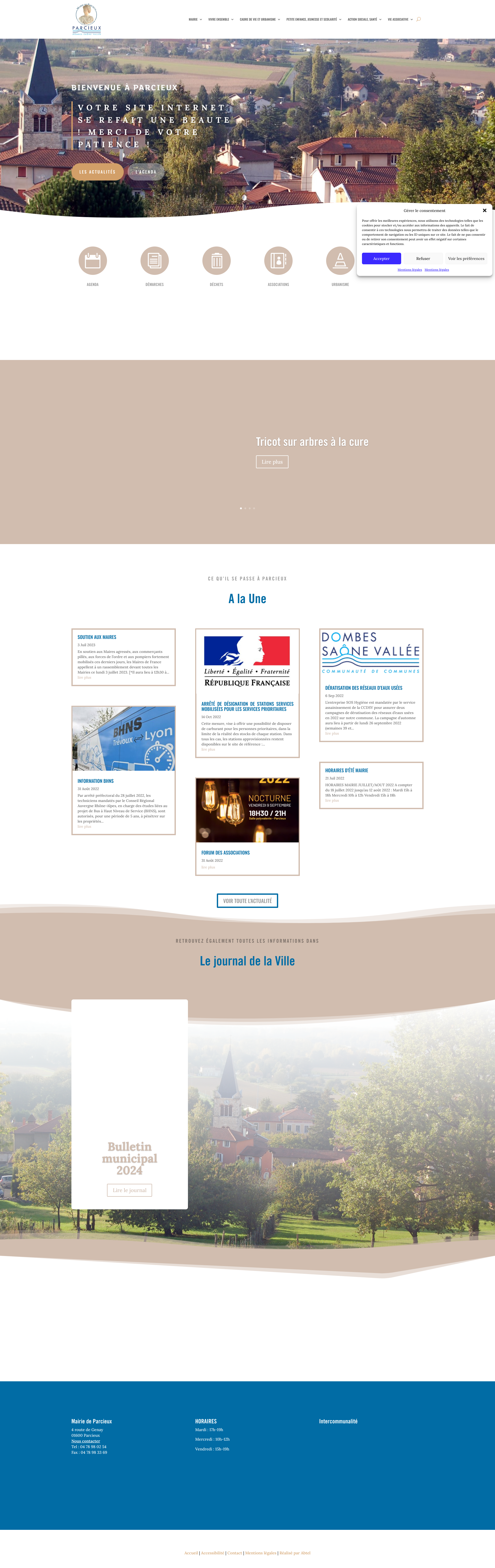 Aperçu du site