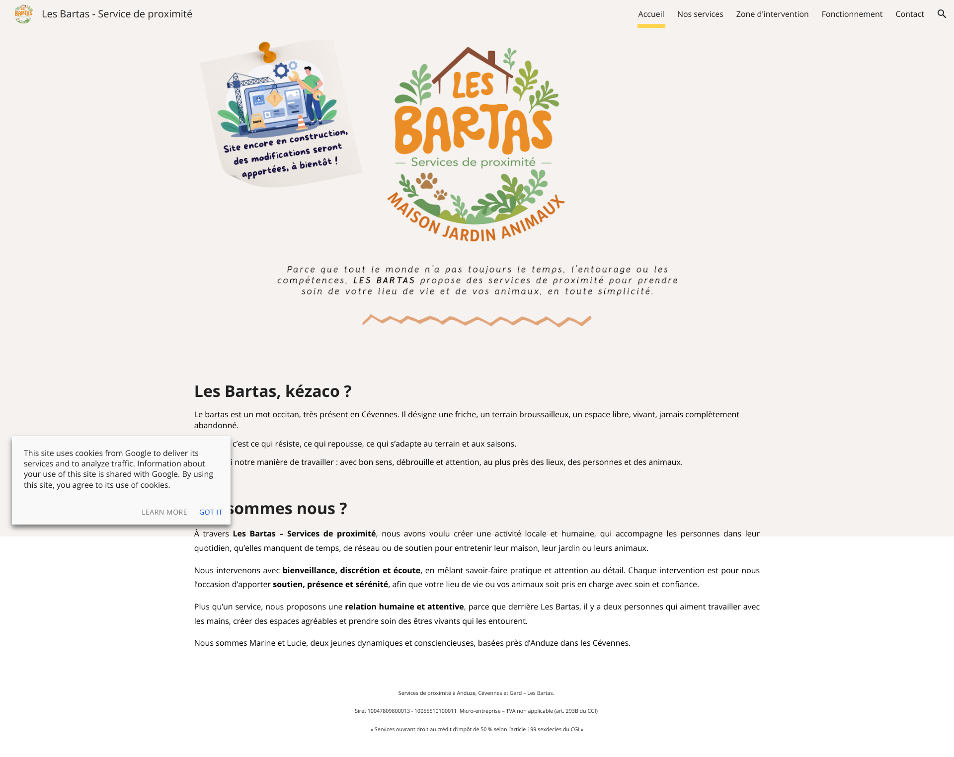 Aperçu du site