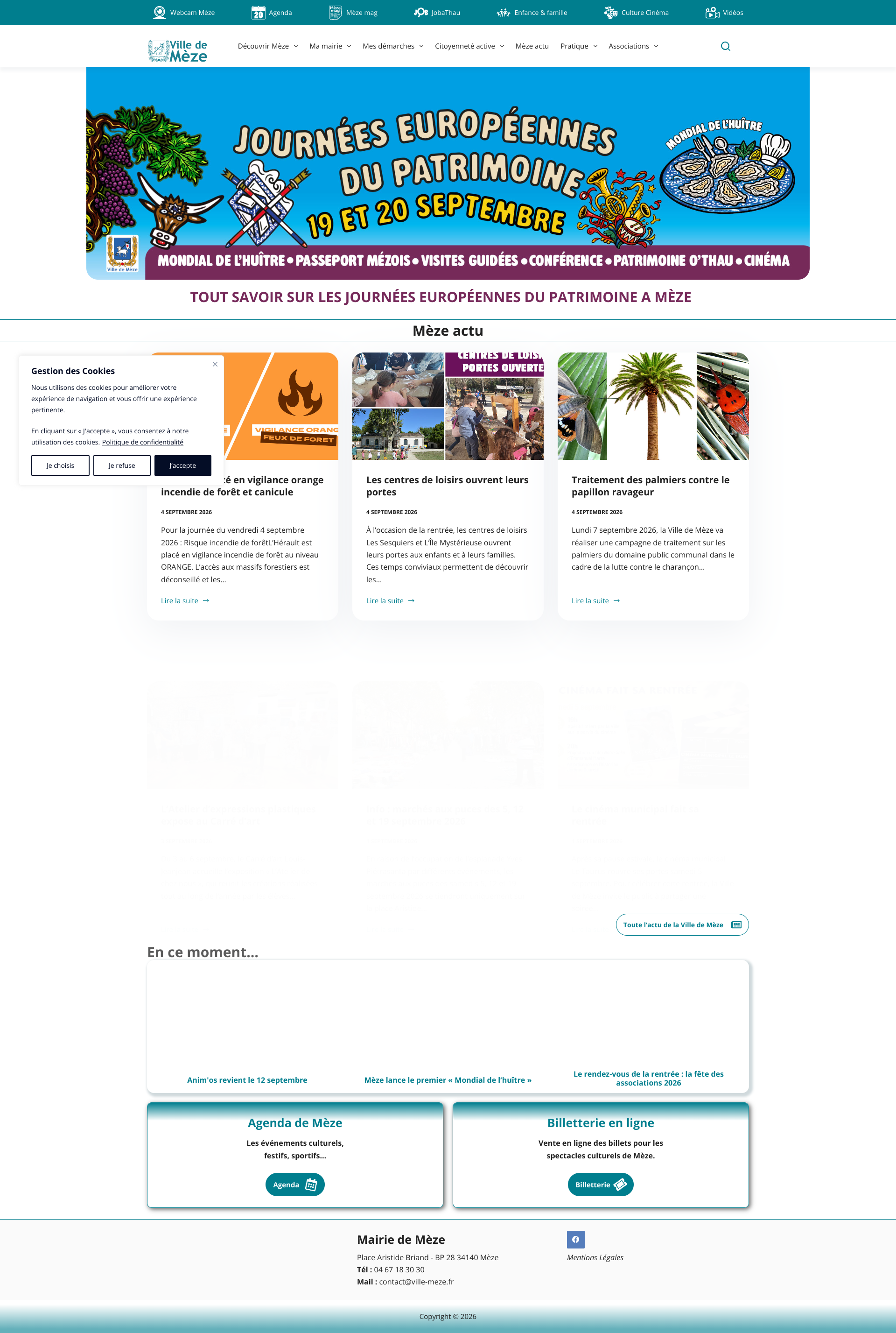 Aperçu du site