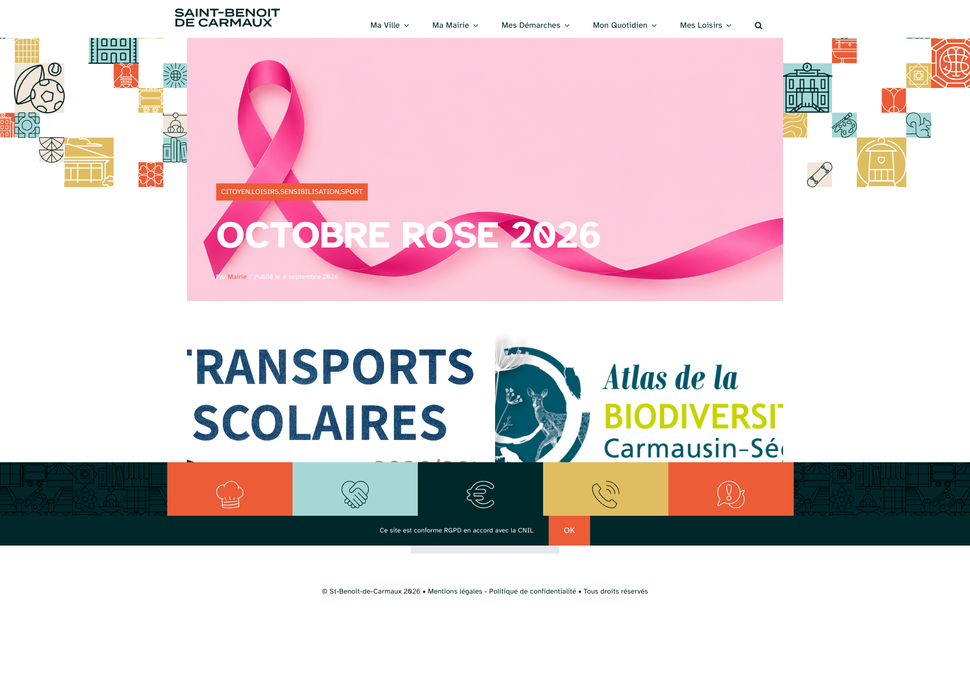 Aperçu du site