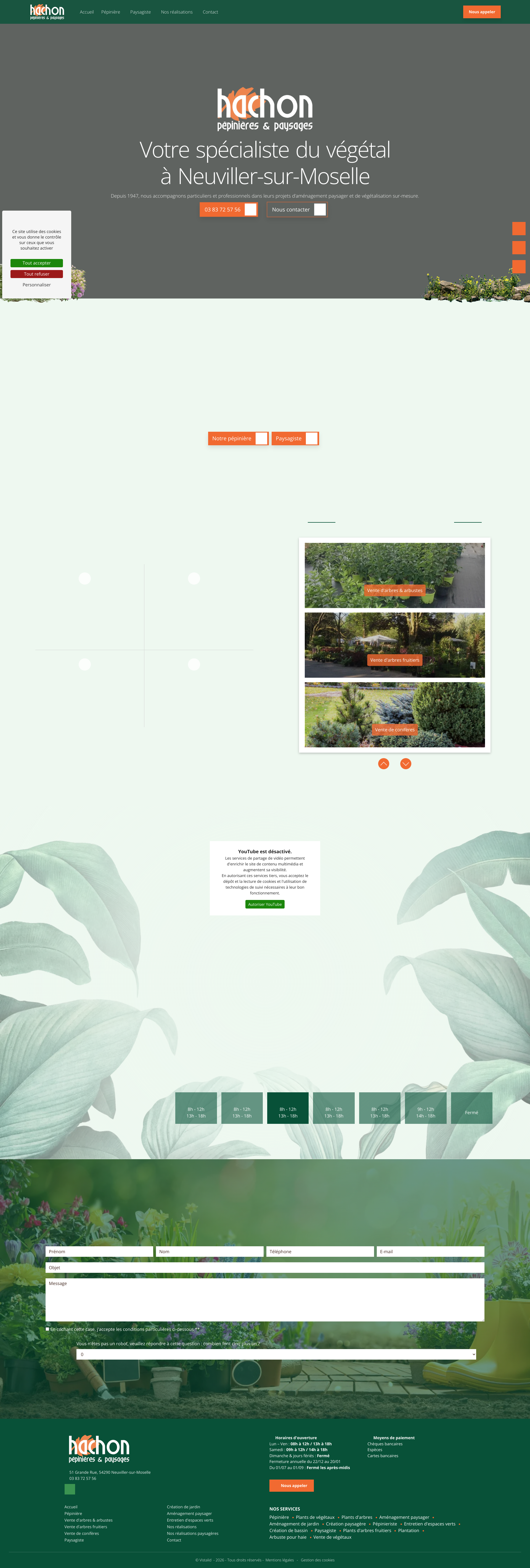 Aperçu du site