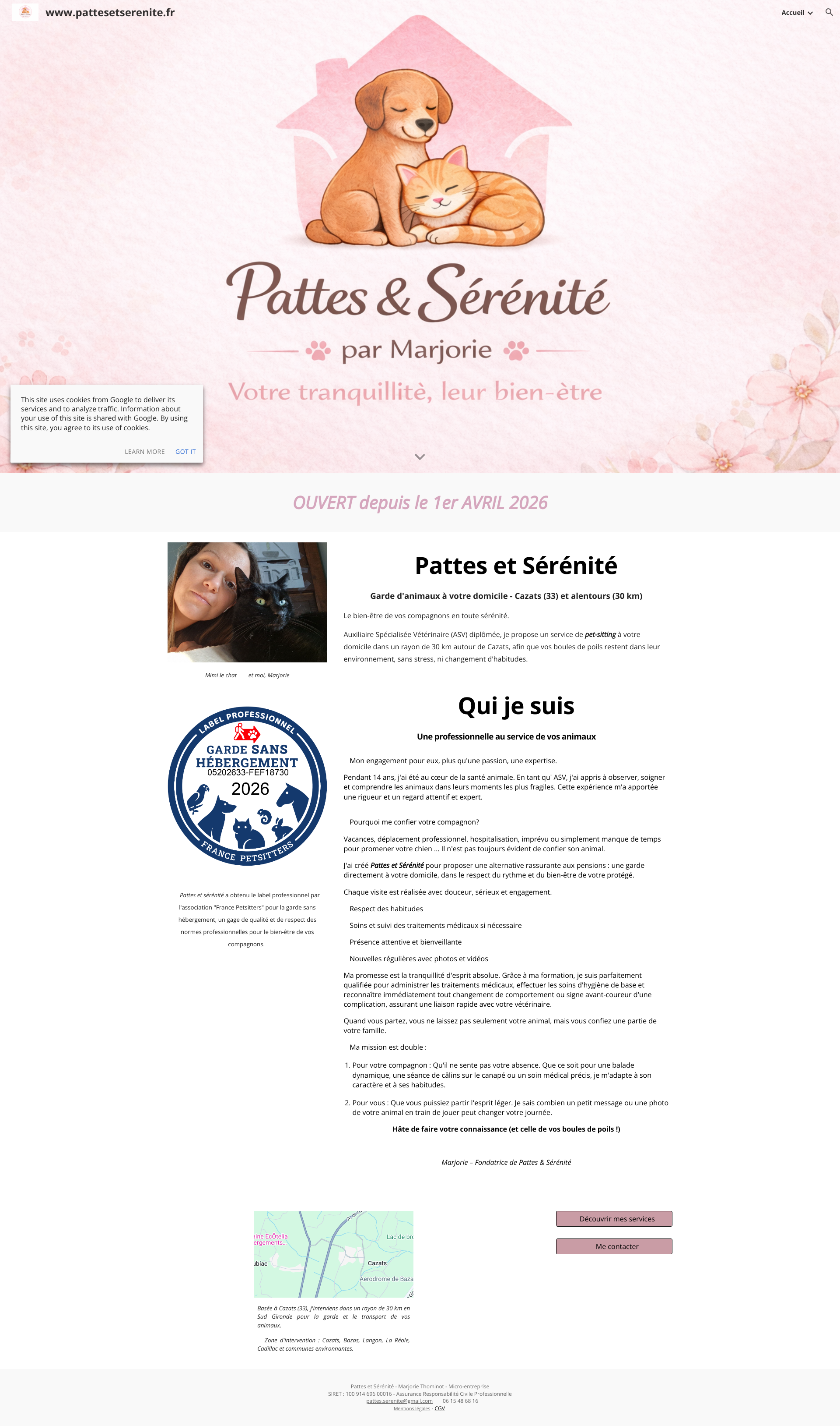 Aperçu du site