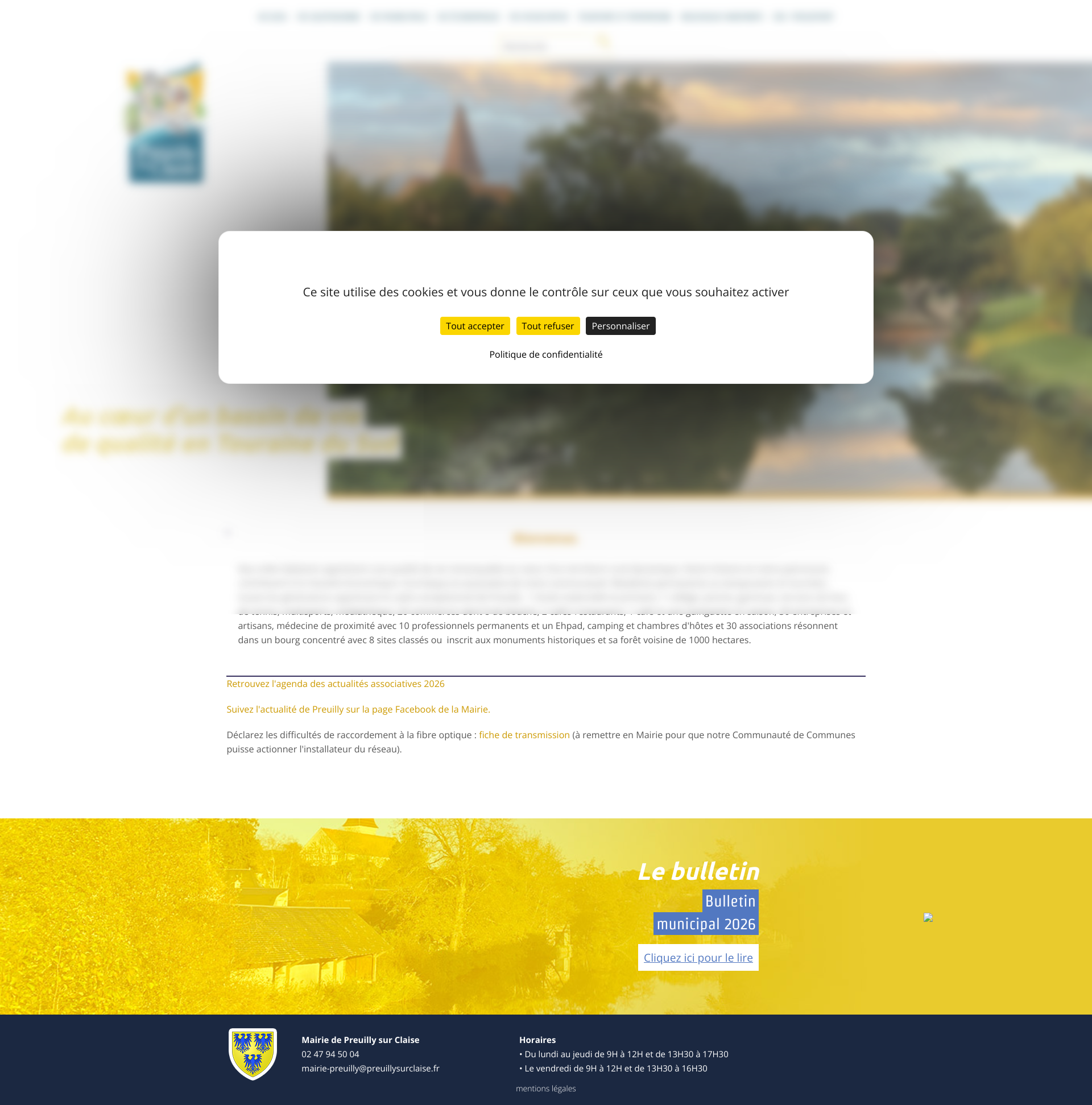Aperçu du site
