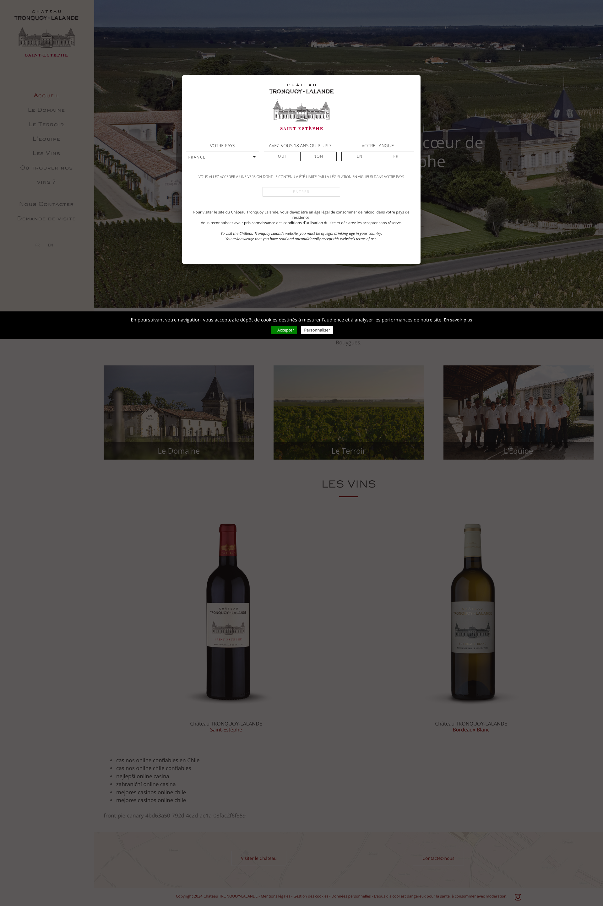Aperçu du site