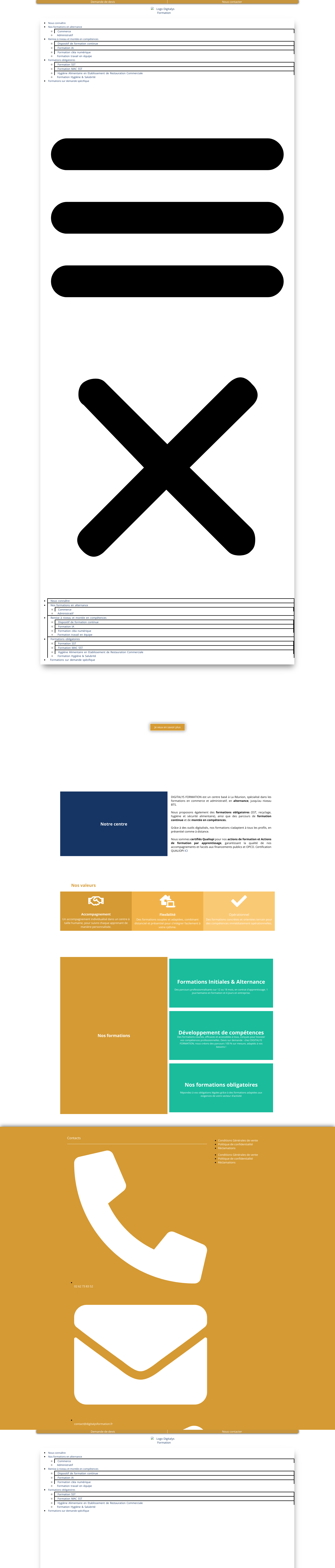 Aperçu du site