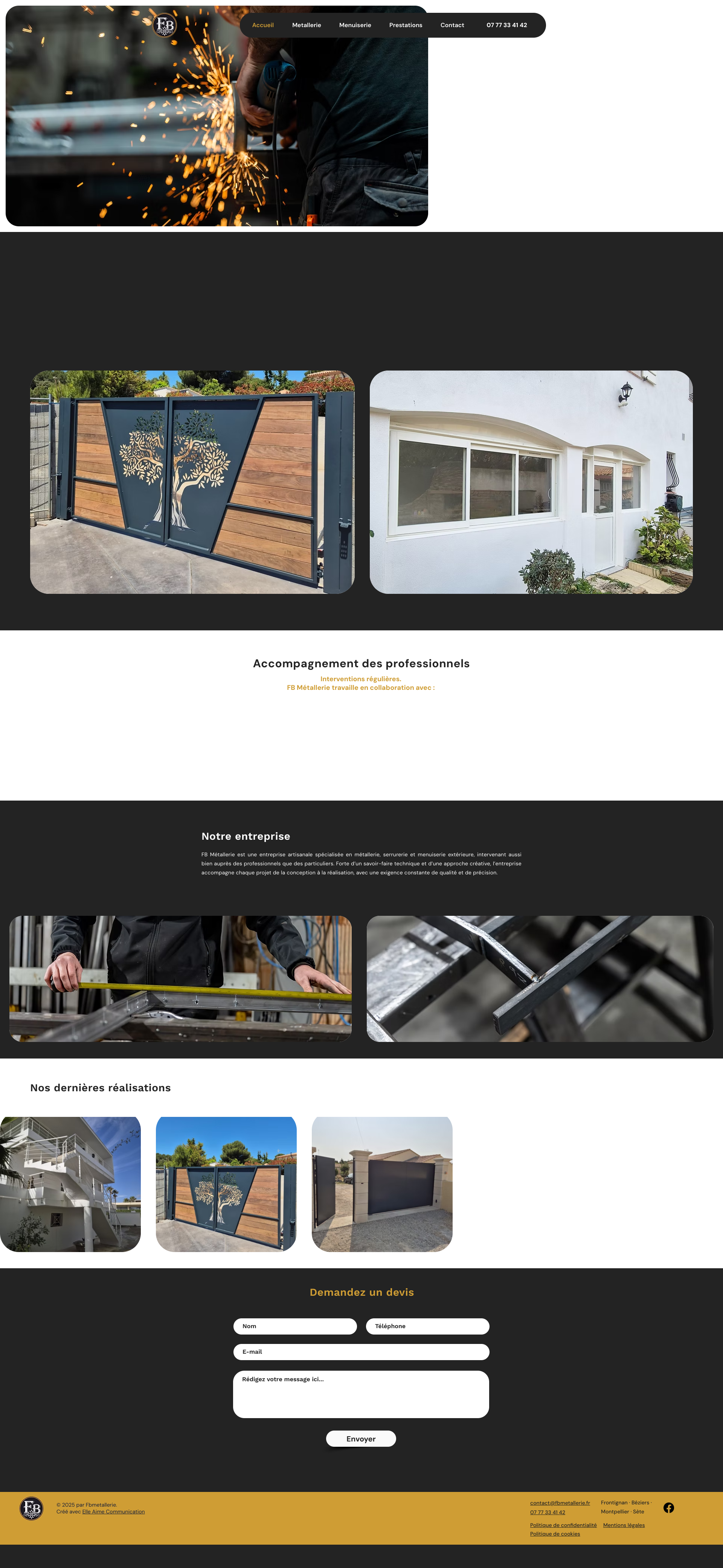 Aperçu du site