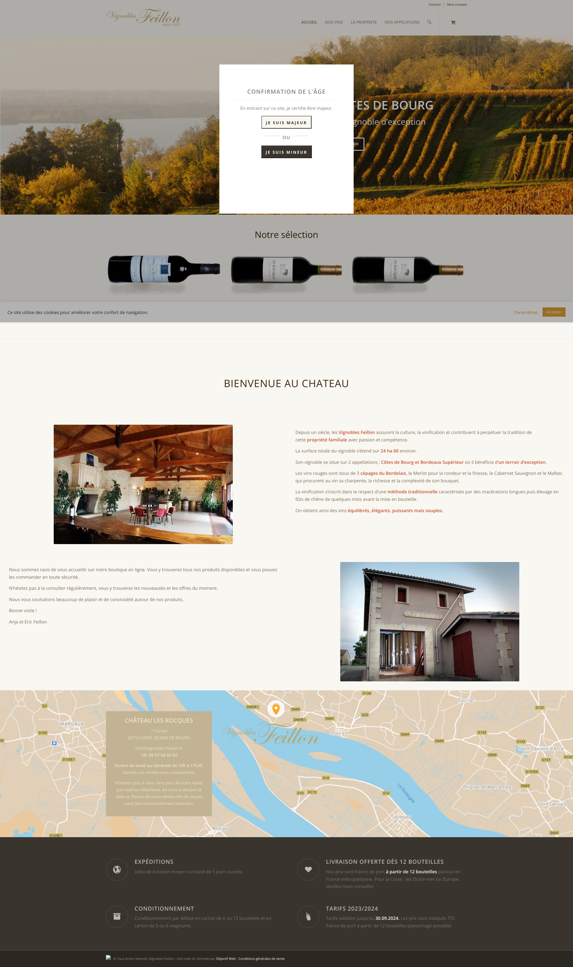 Aperçu du site