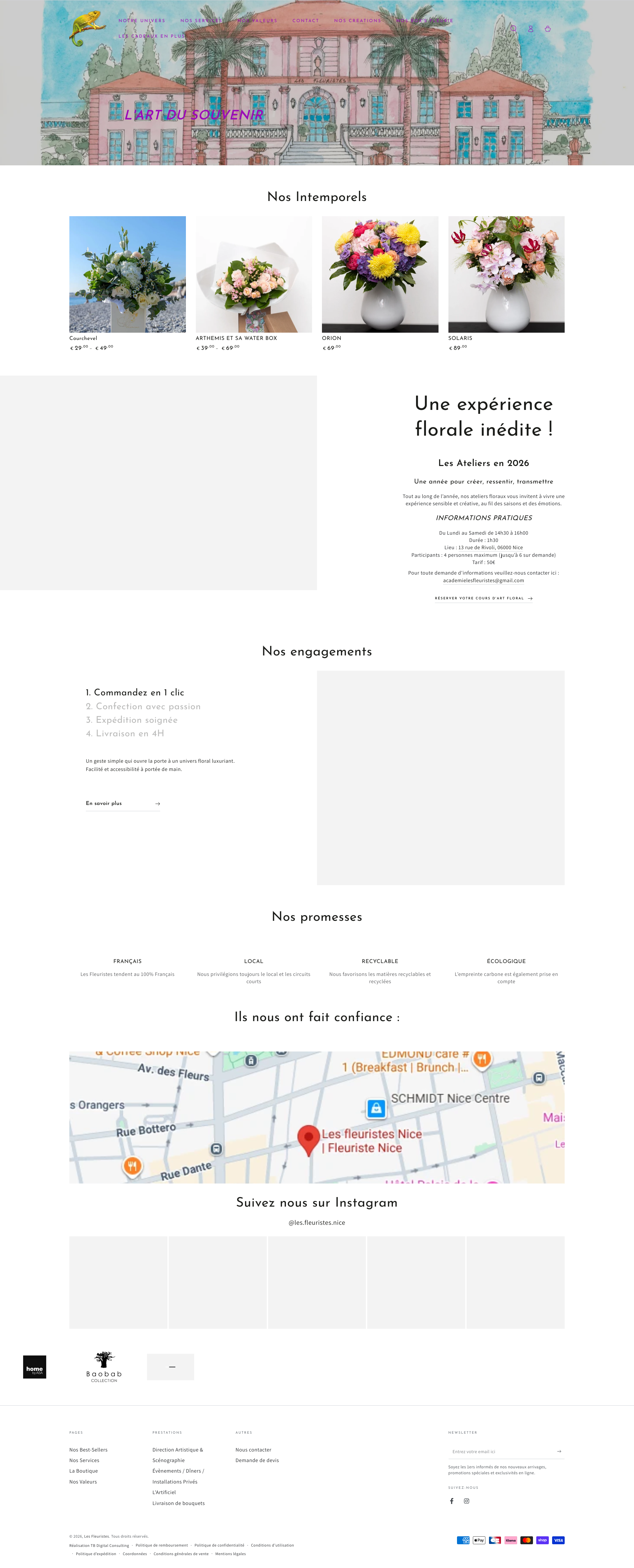 Aperçu du site