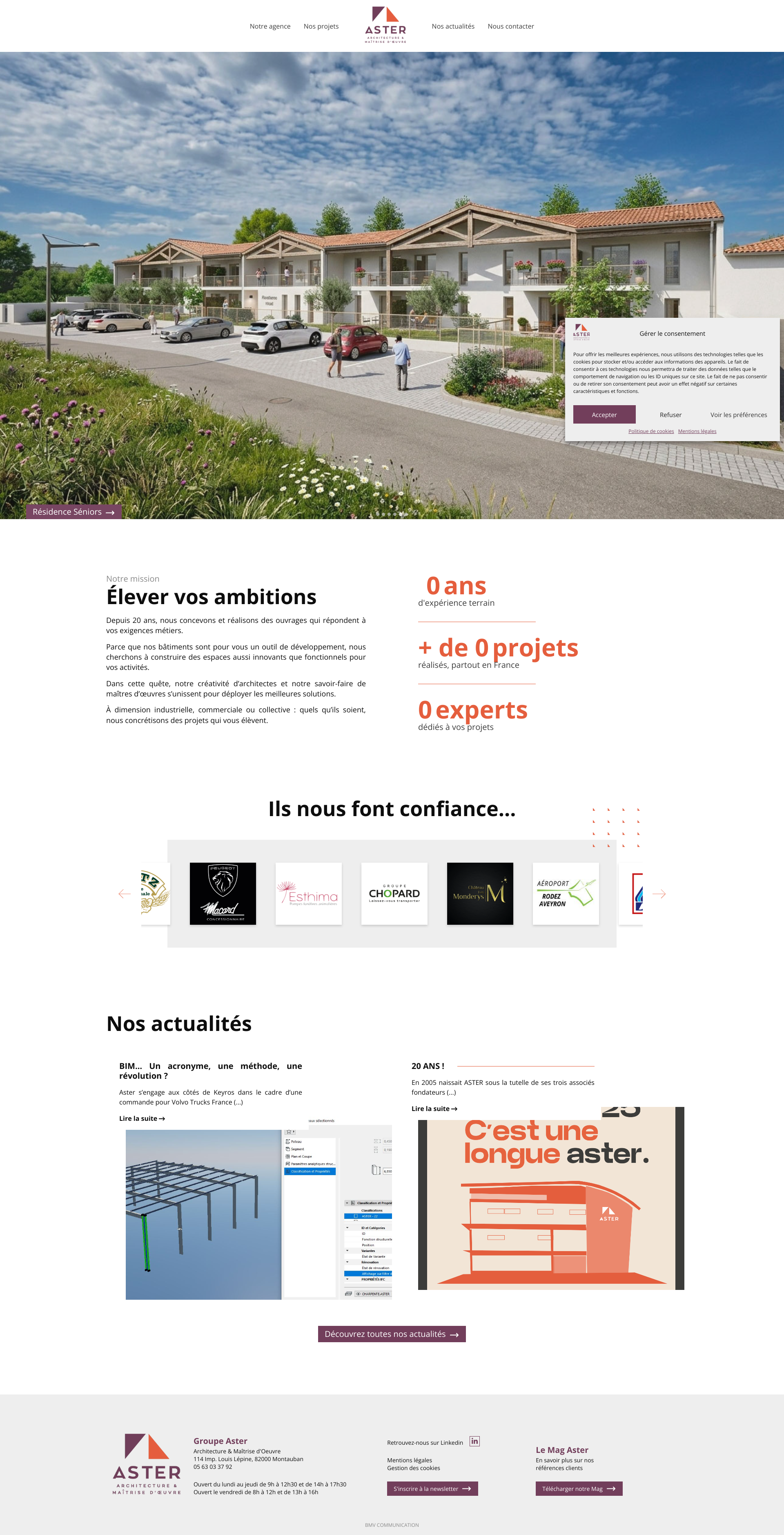 Aperçu du site