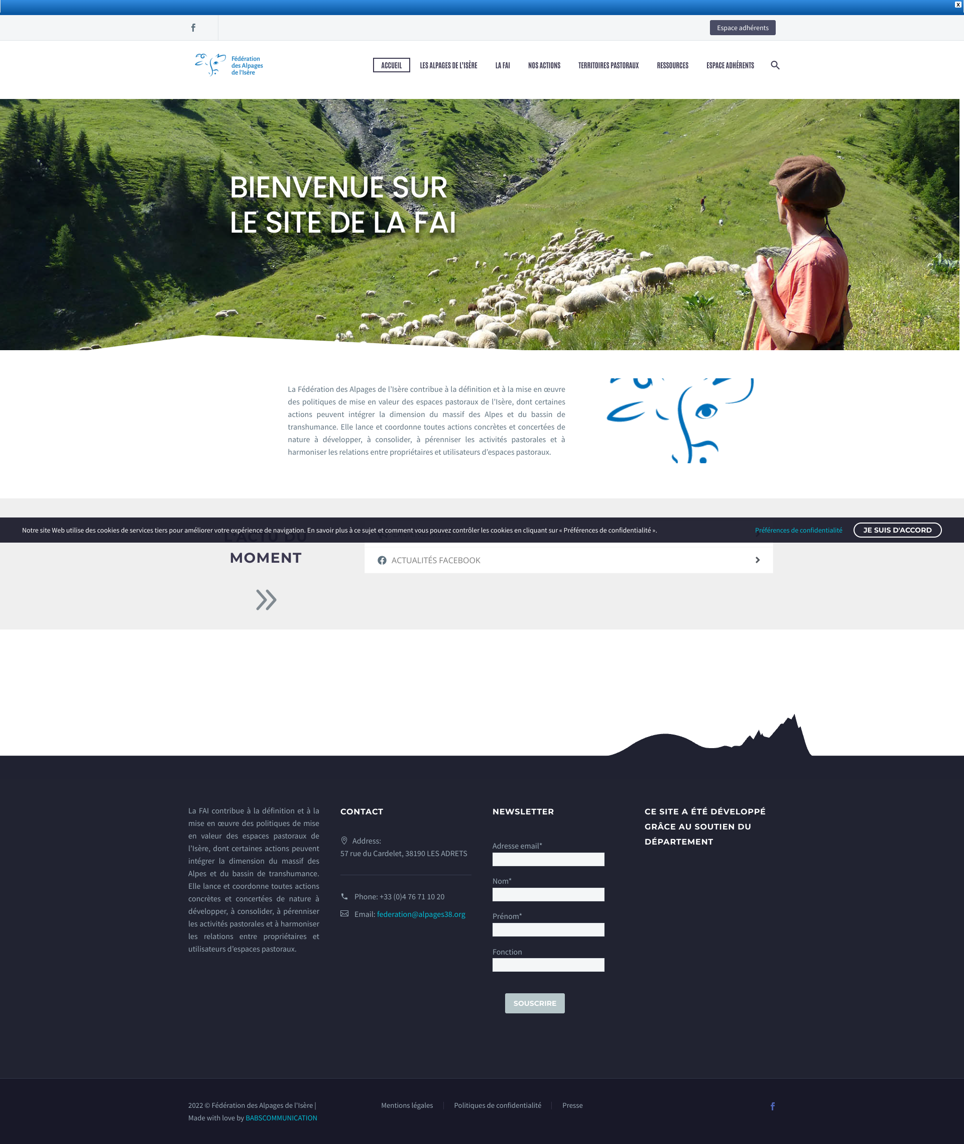 Aperçu du site