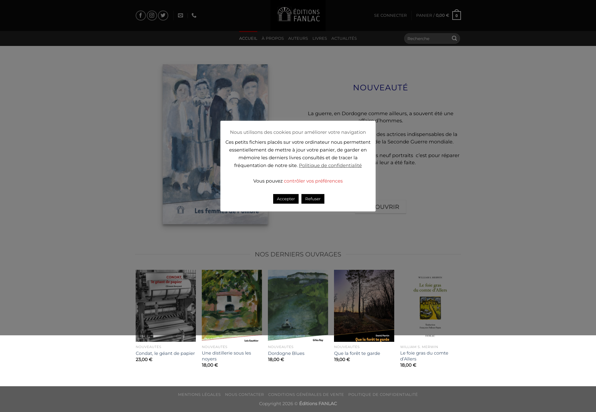 Aperçu du site