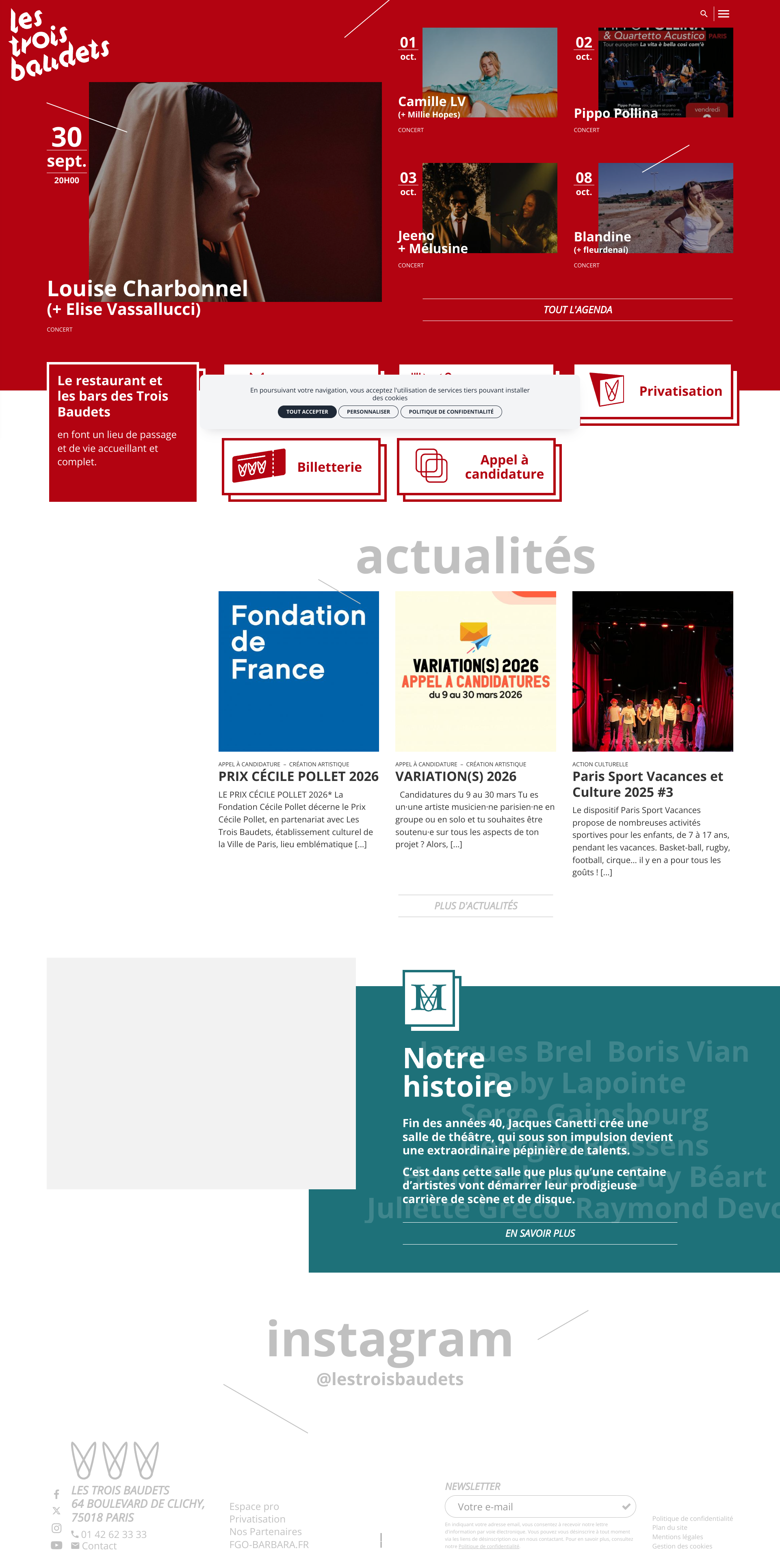 Aperçu du site