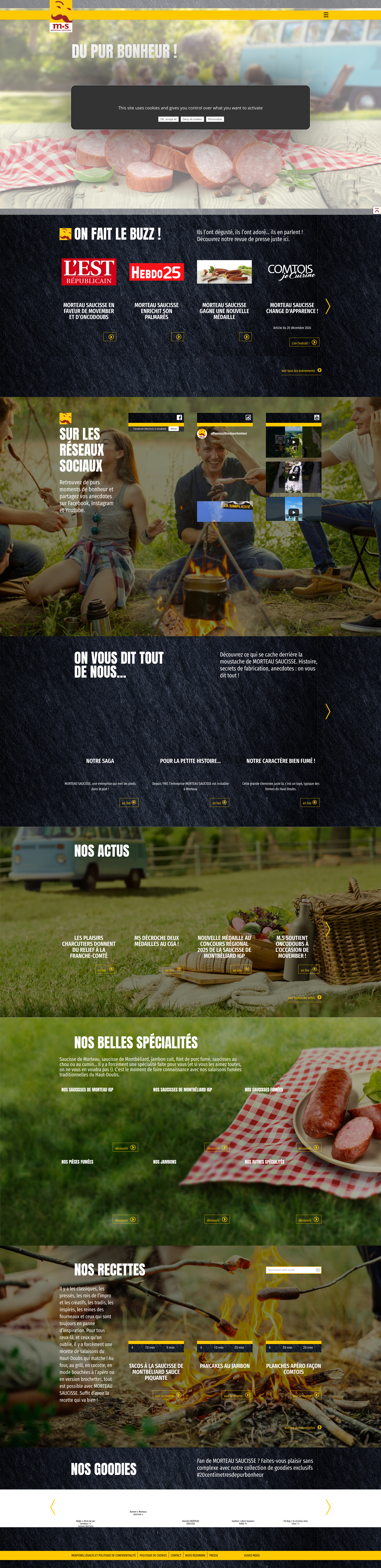 Aperçu du site