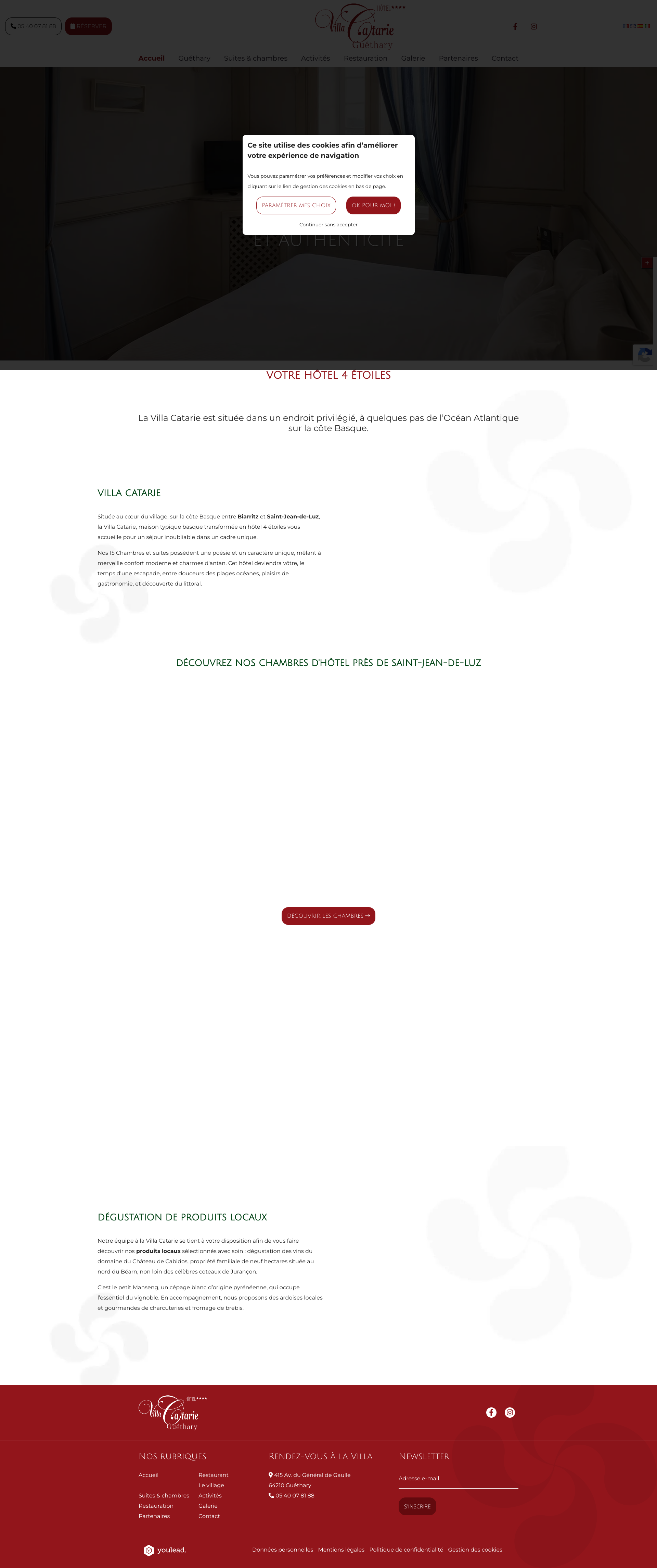 Aperçu du site