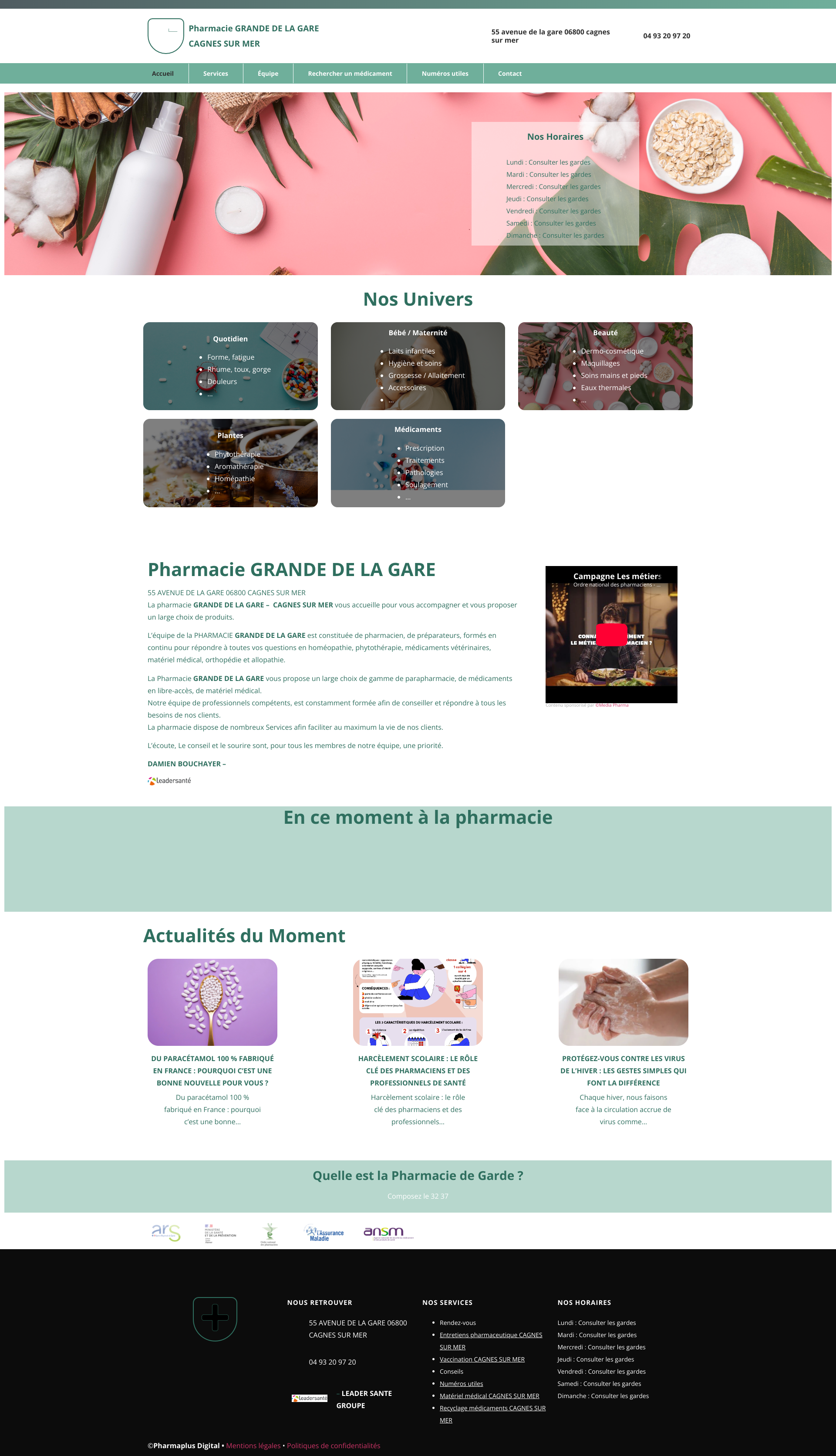 Aperçu du site