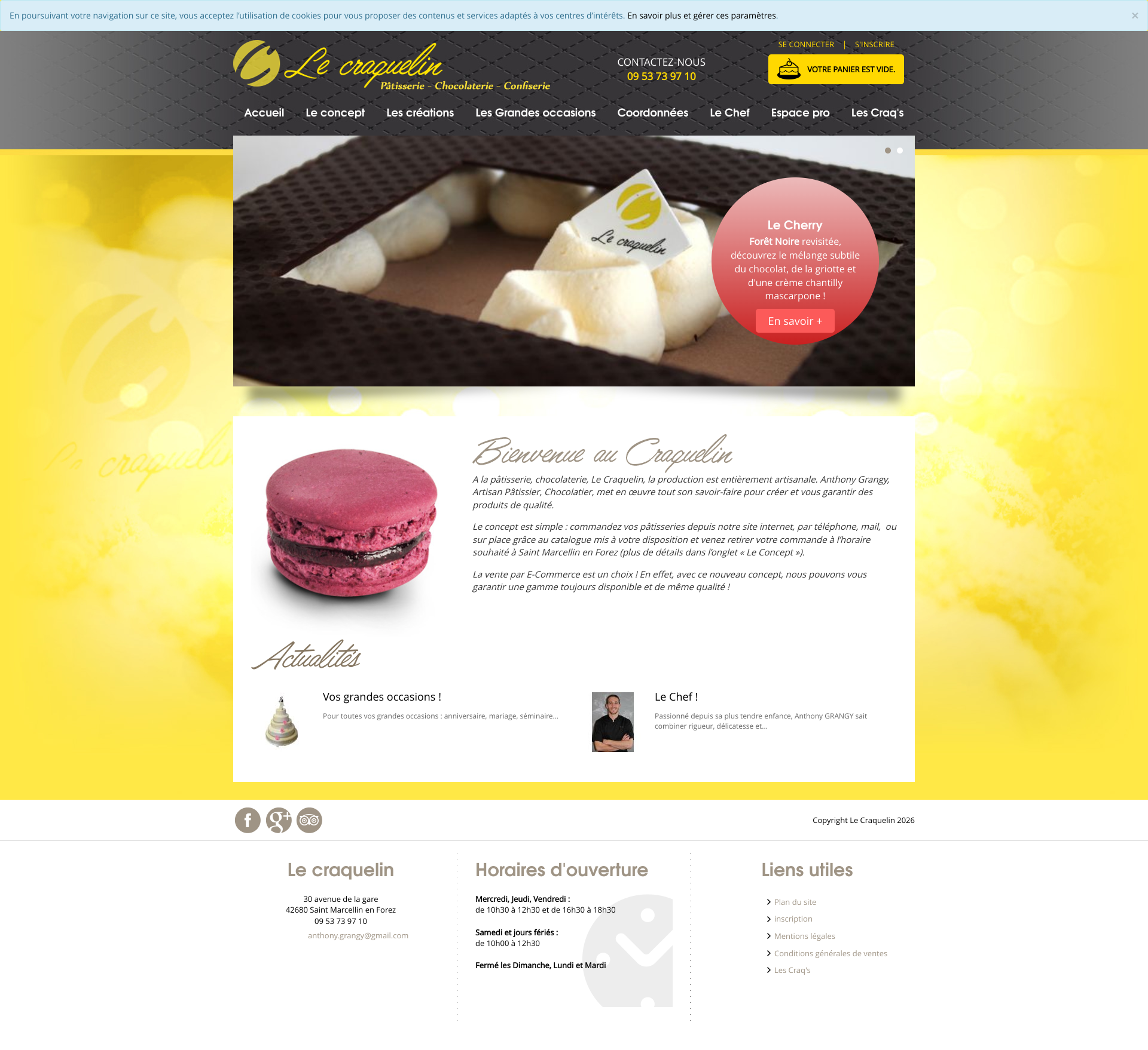 Aperçu du site