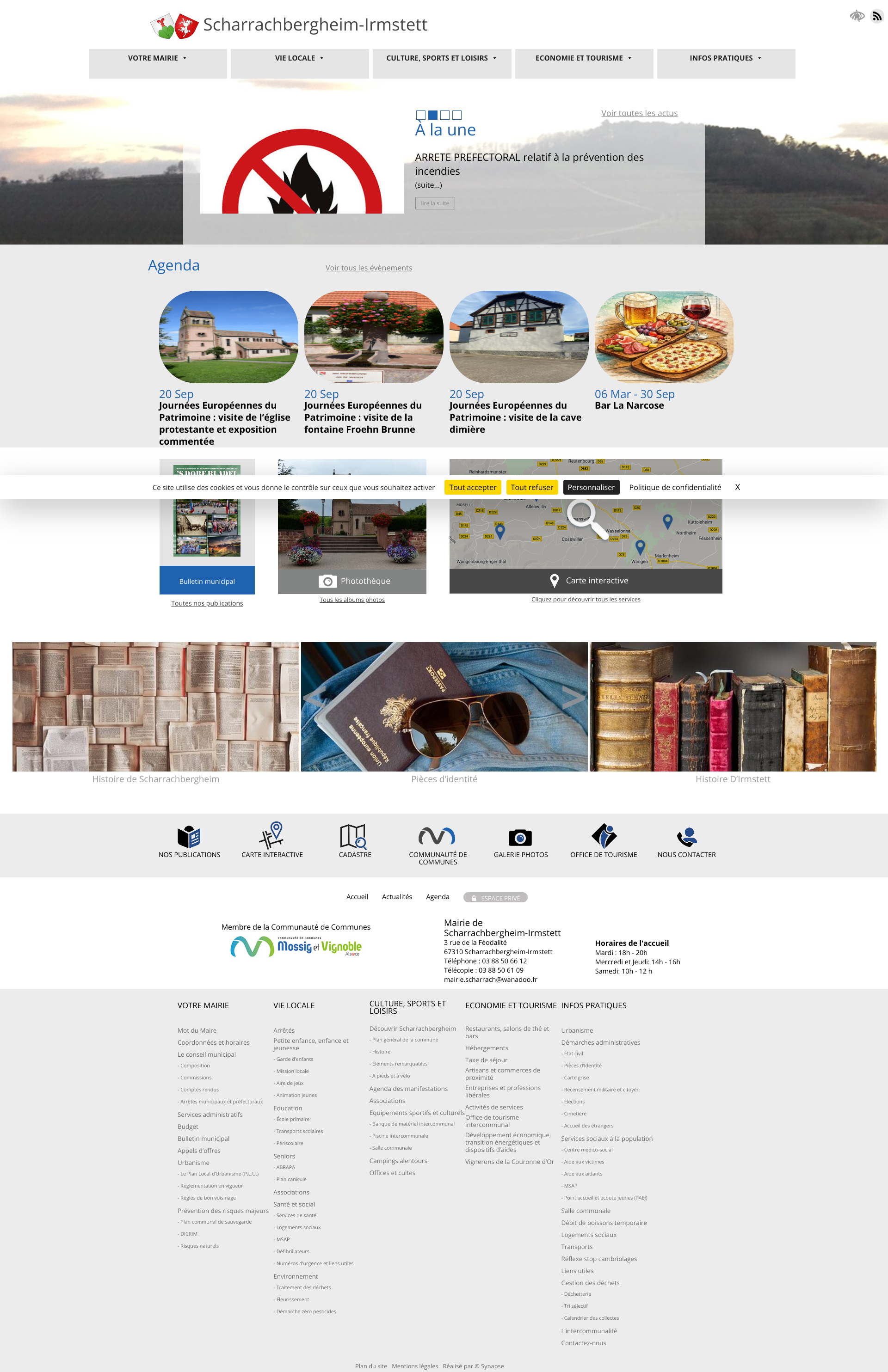 Aperçu du site