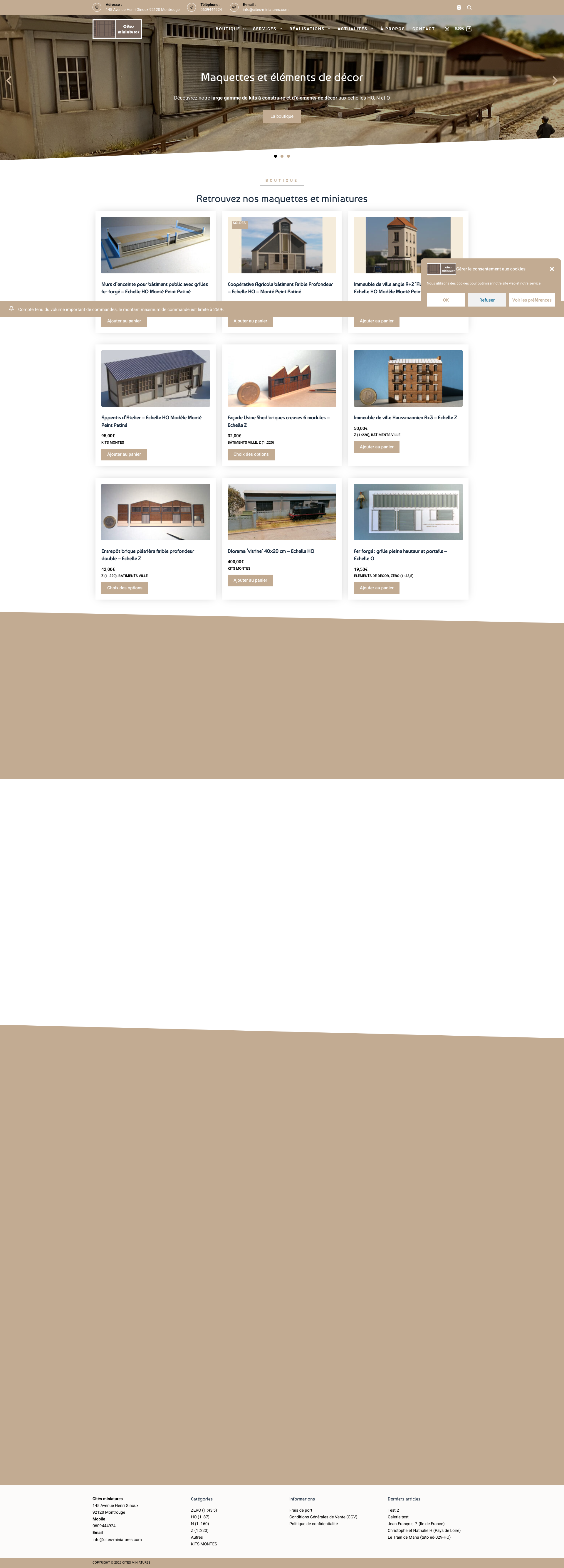 Aperçu du site