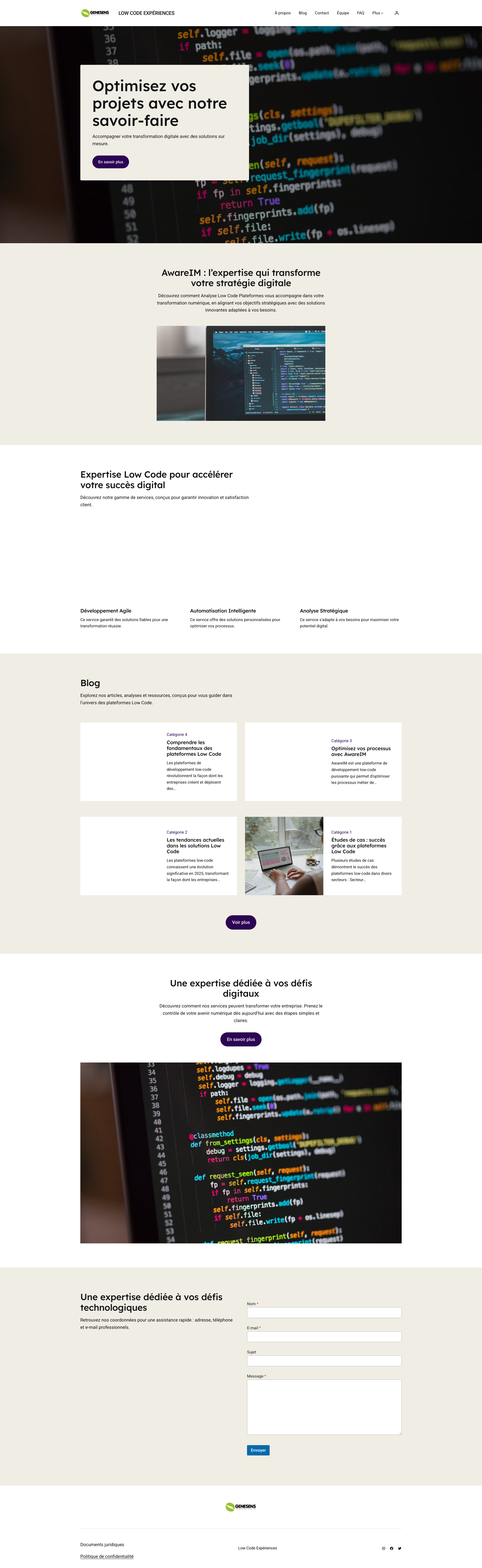 Aperçu du site