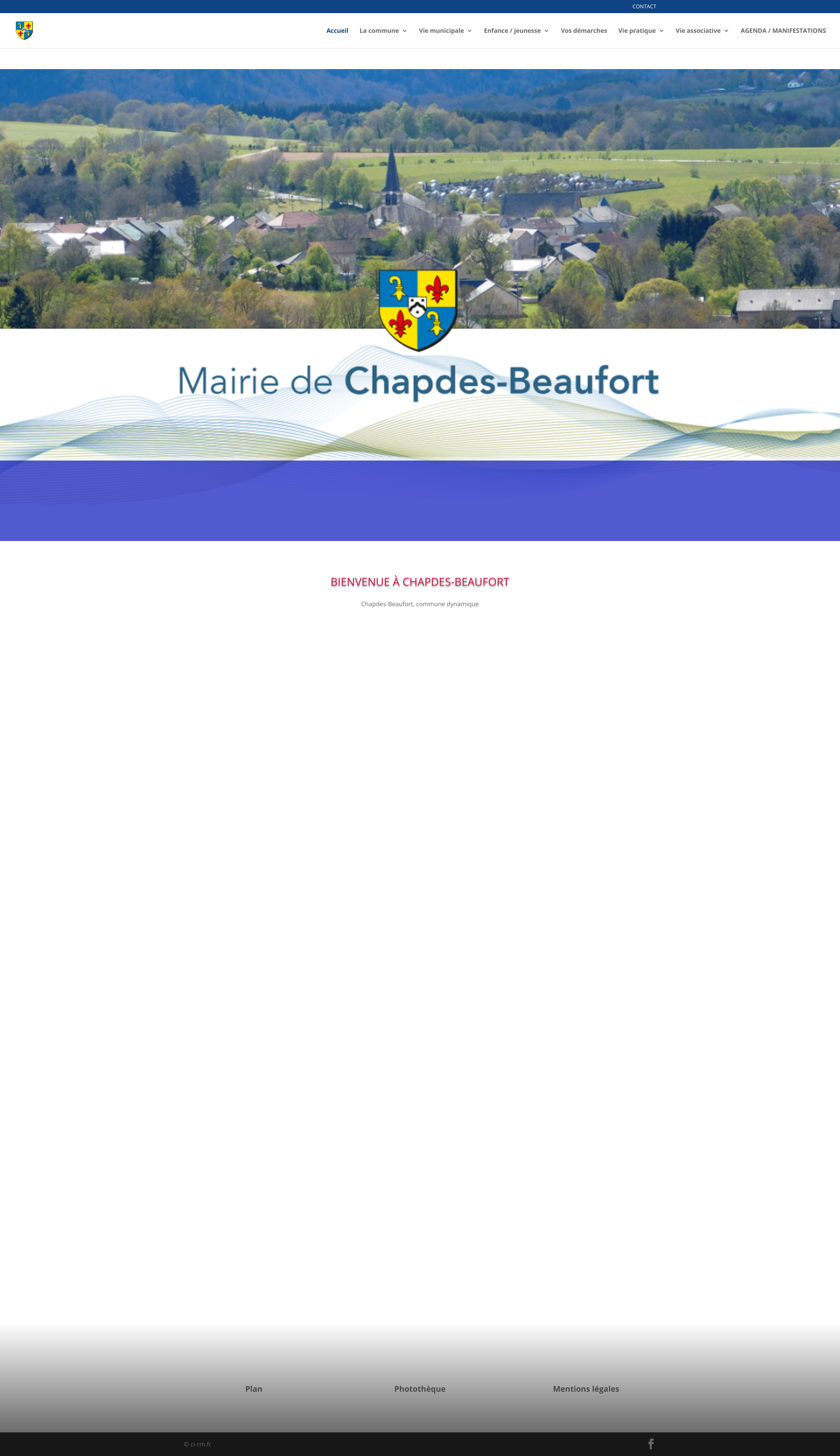 Aperçu du site