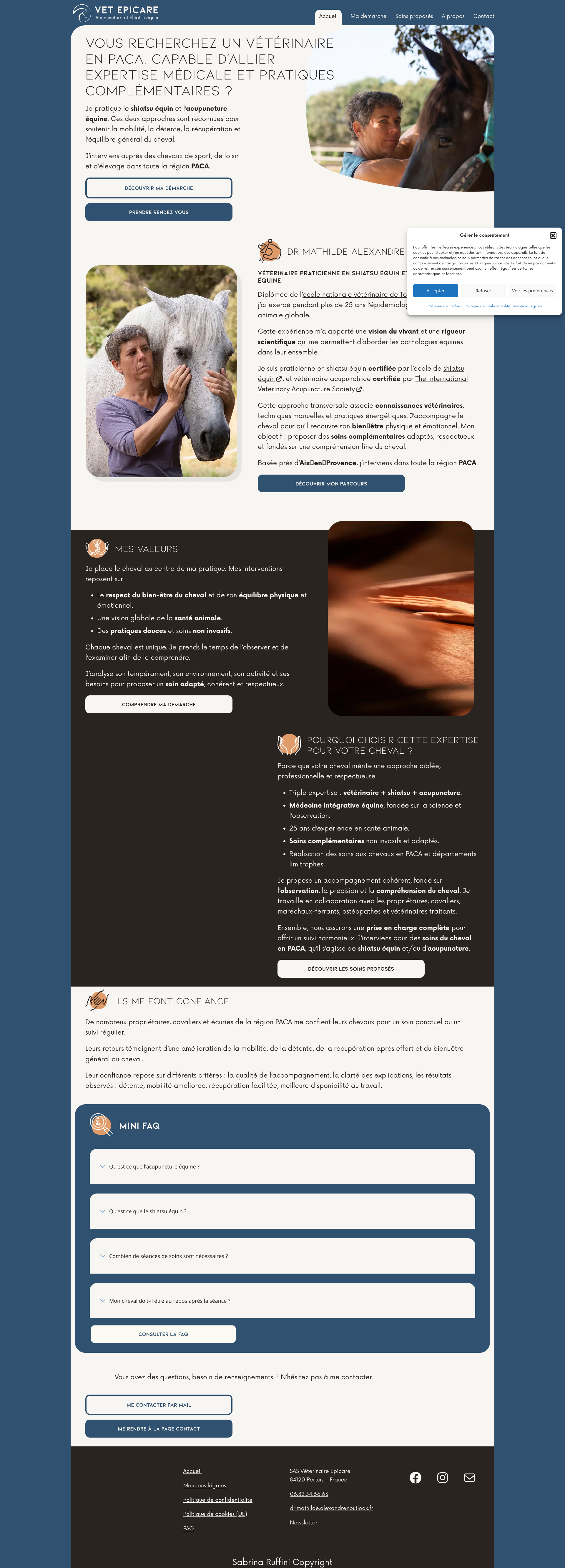Aperçu du site