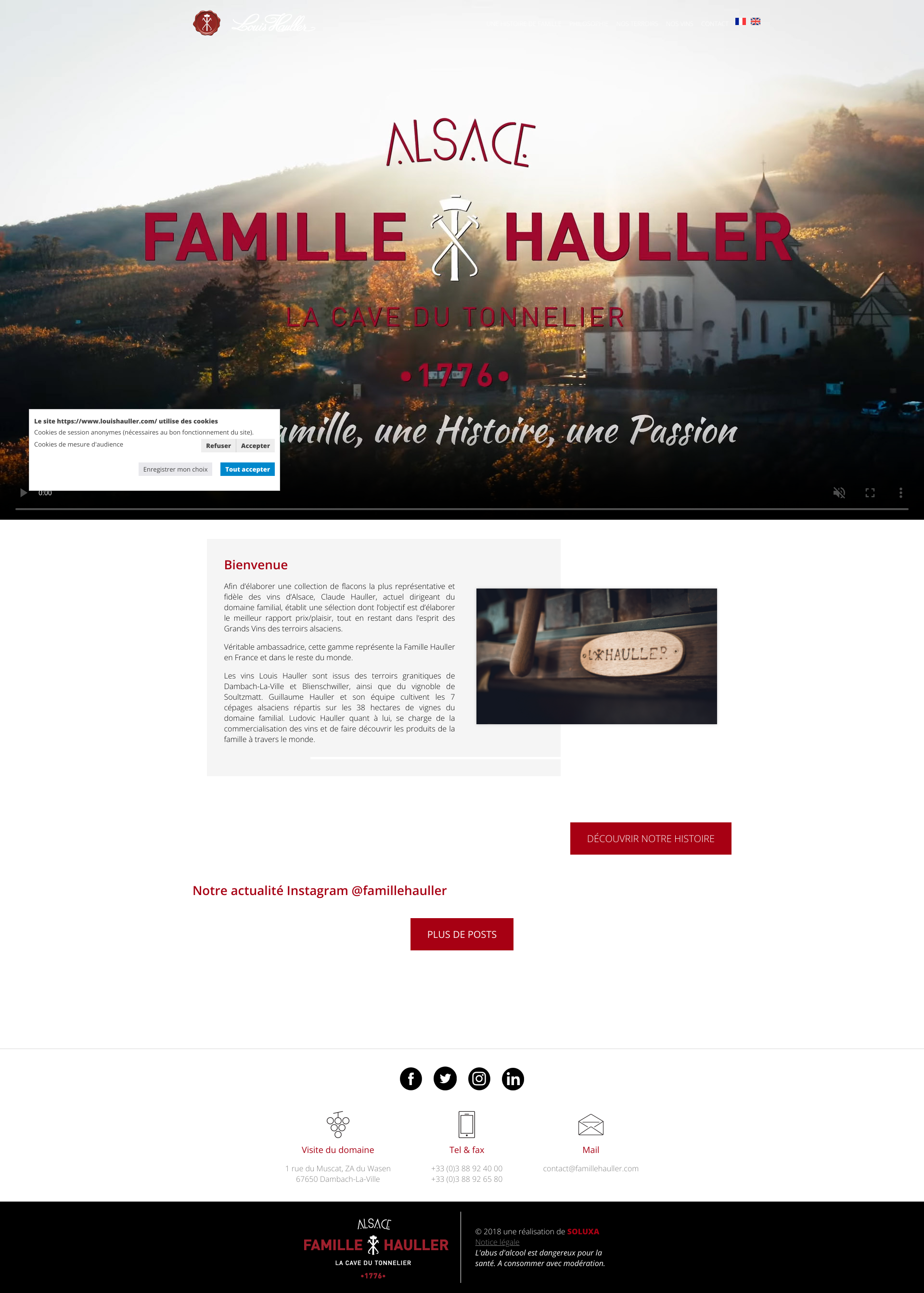Aperçu du site