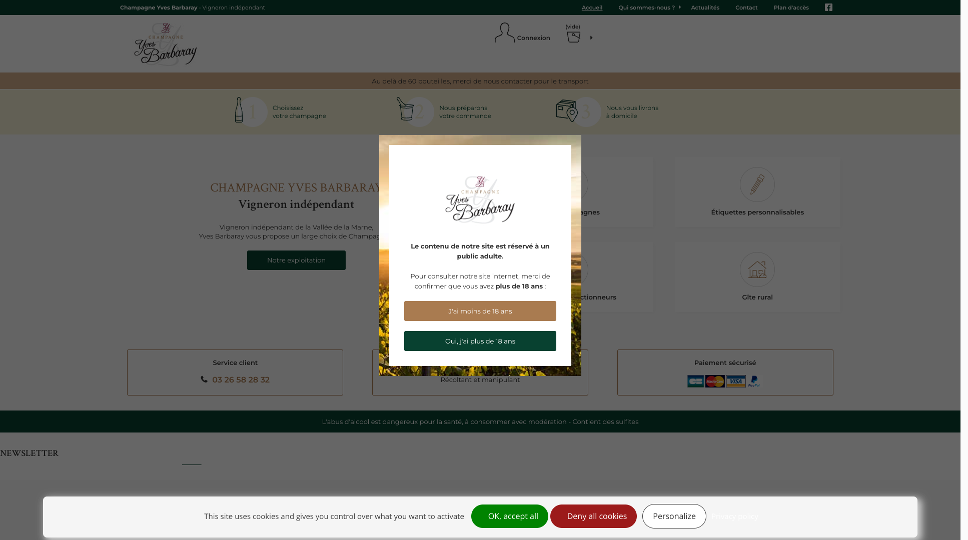 Aperçu du site