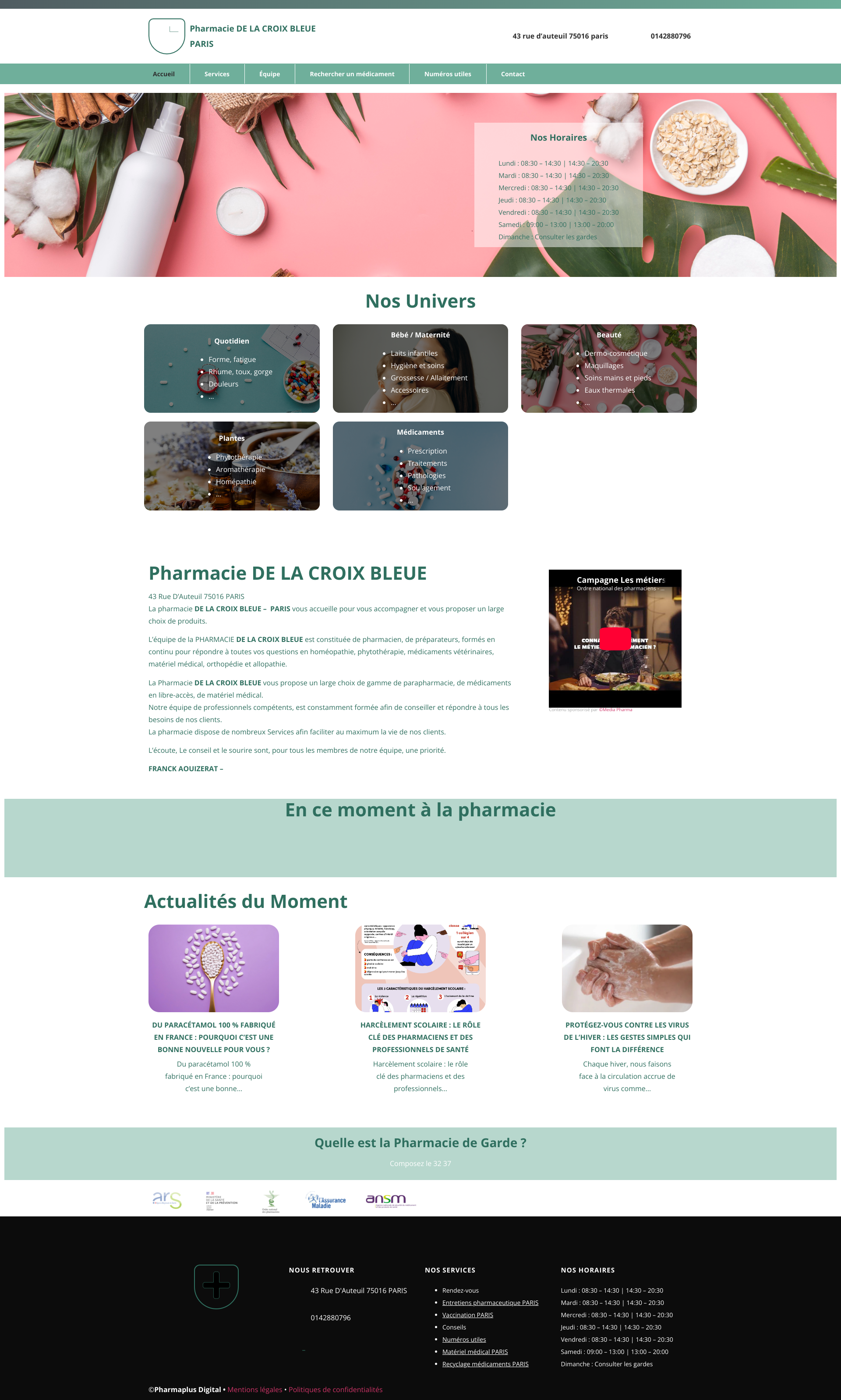 Aperçu du site
