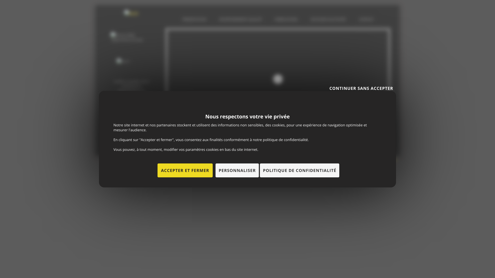 Aperçu du site