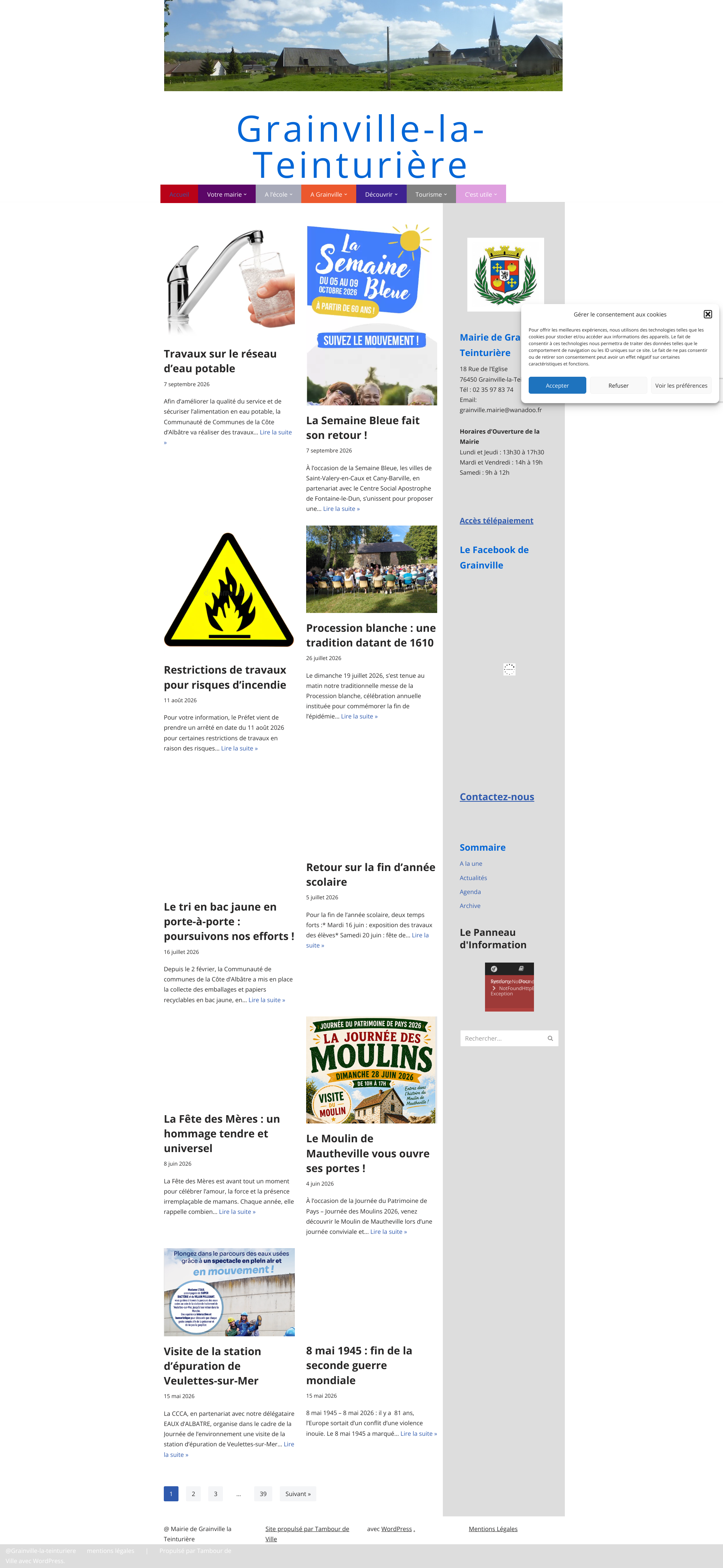 Aperçu du site