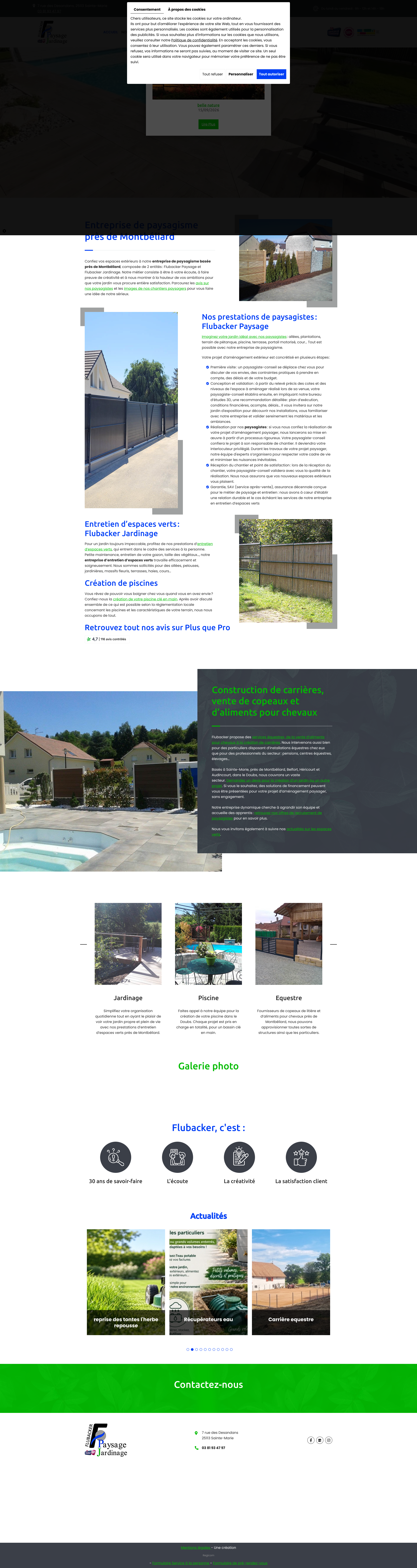 Aperçu du site