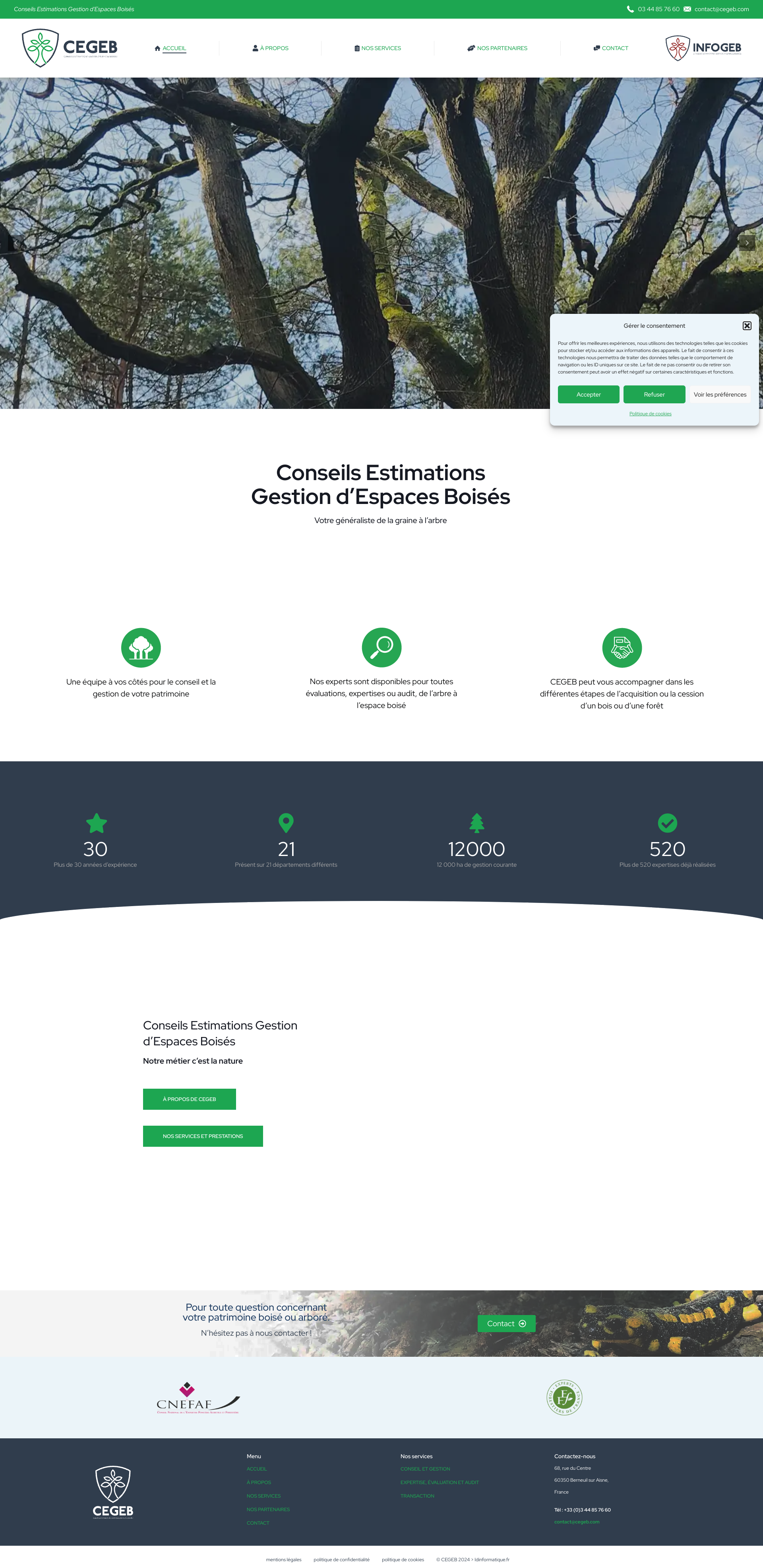 Aperçu du site