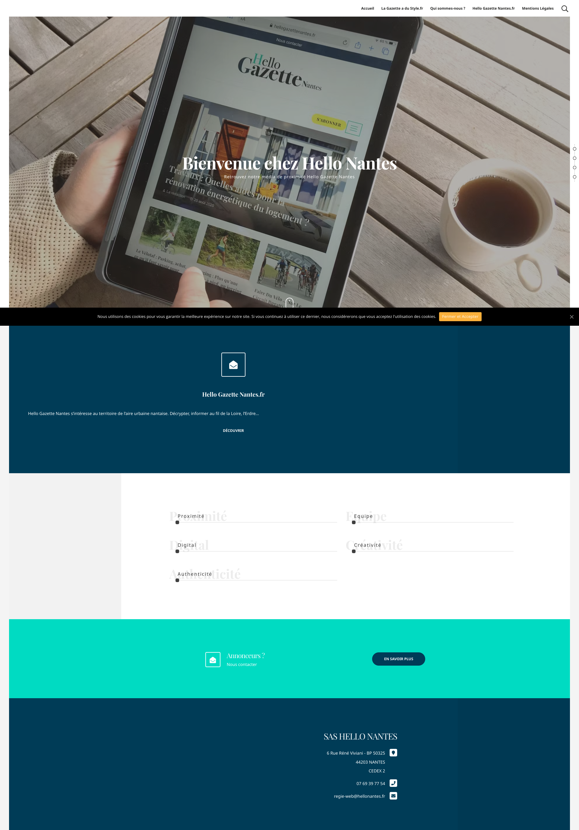 Aperçu du site