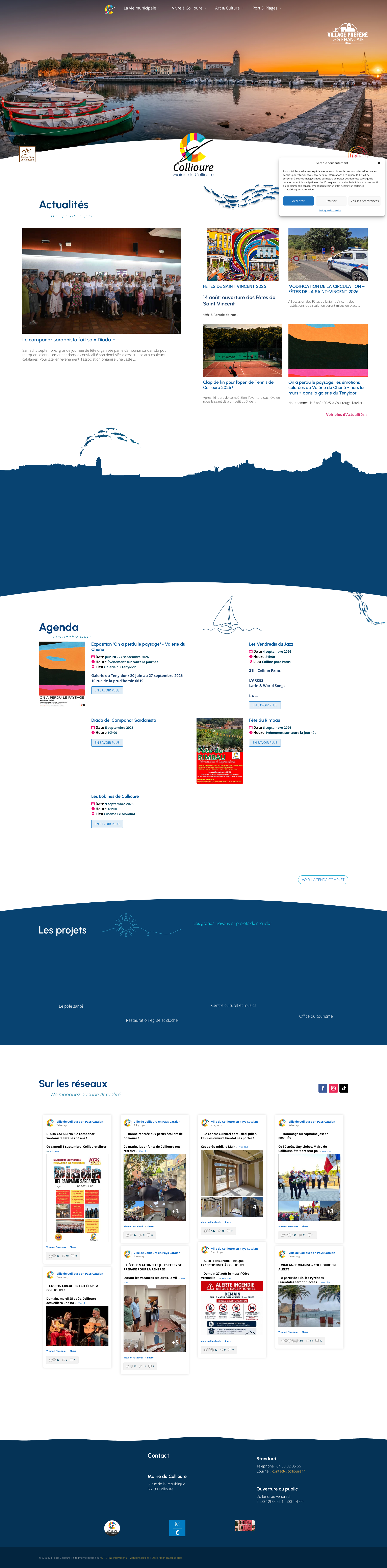Aperçu du site