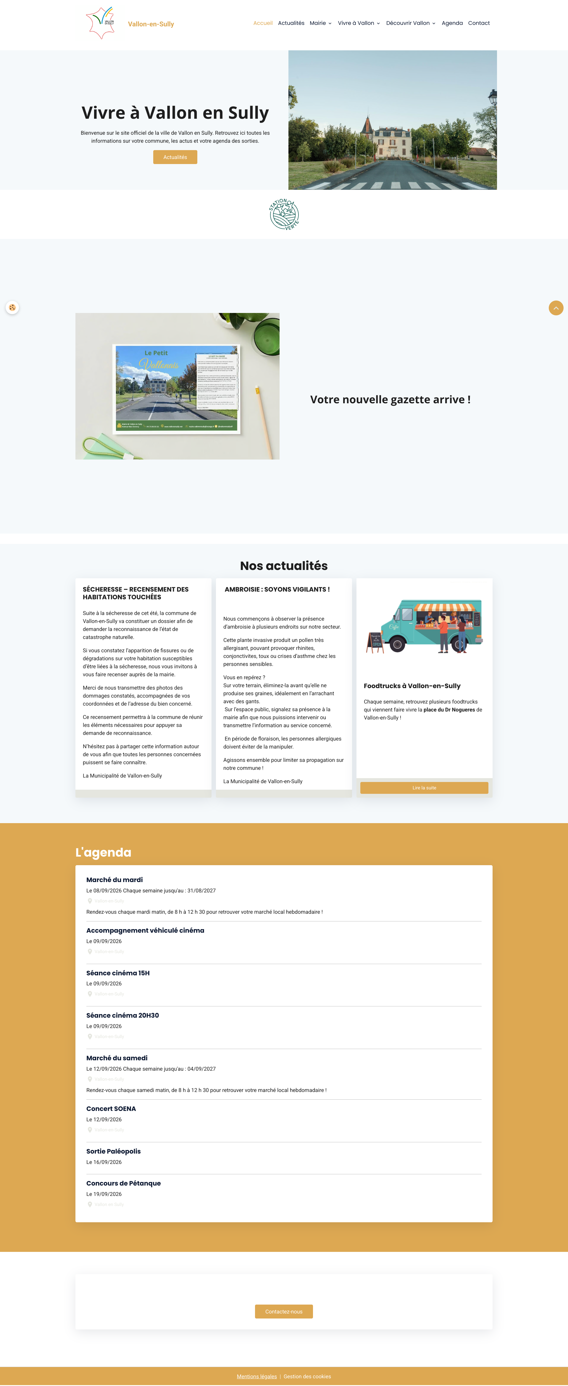 Aperçu du site