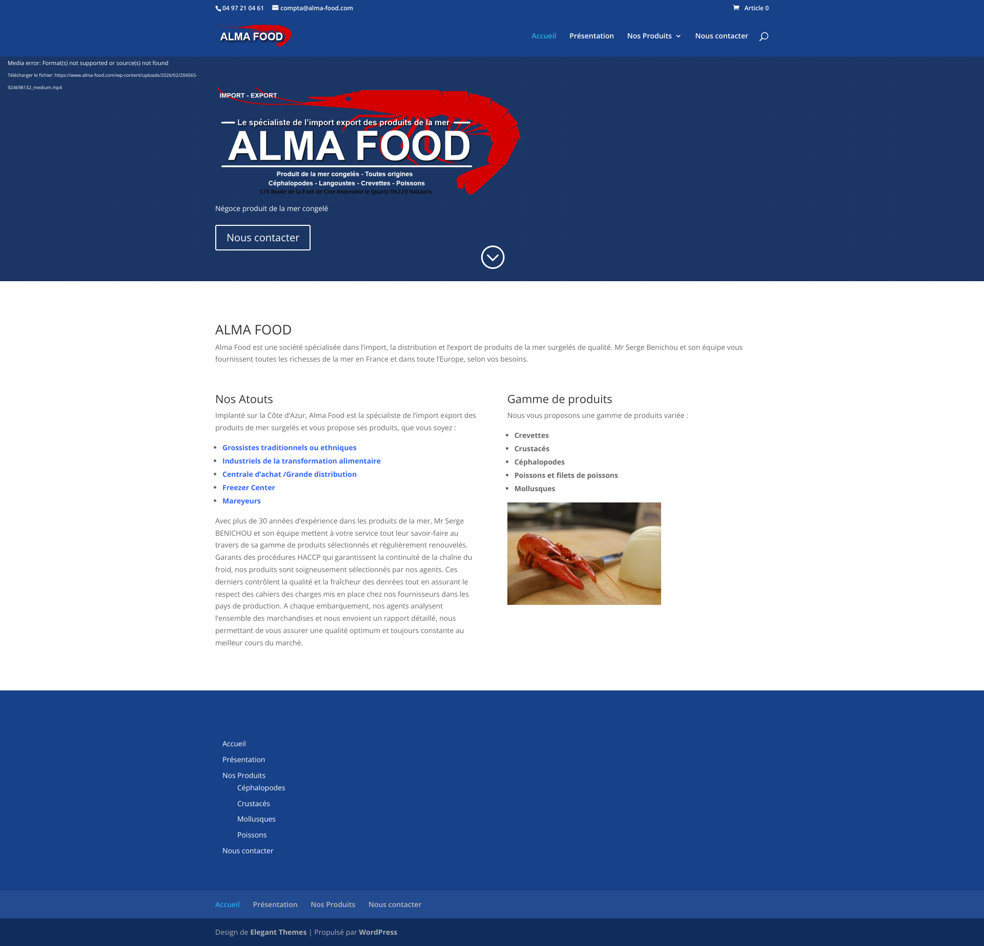 Aperçu du site