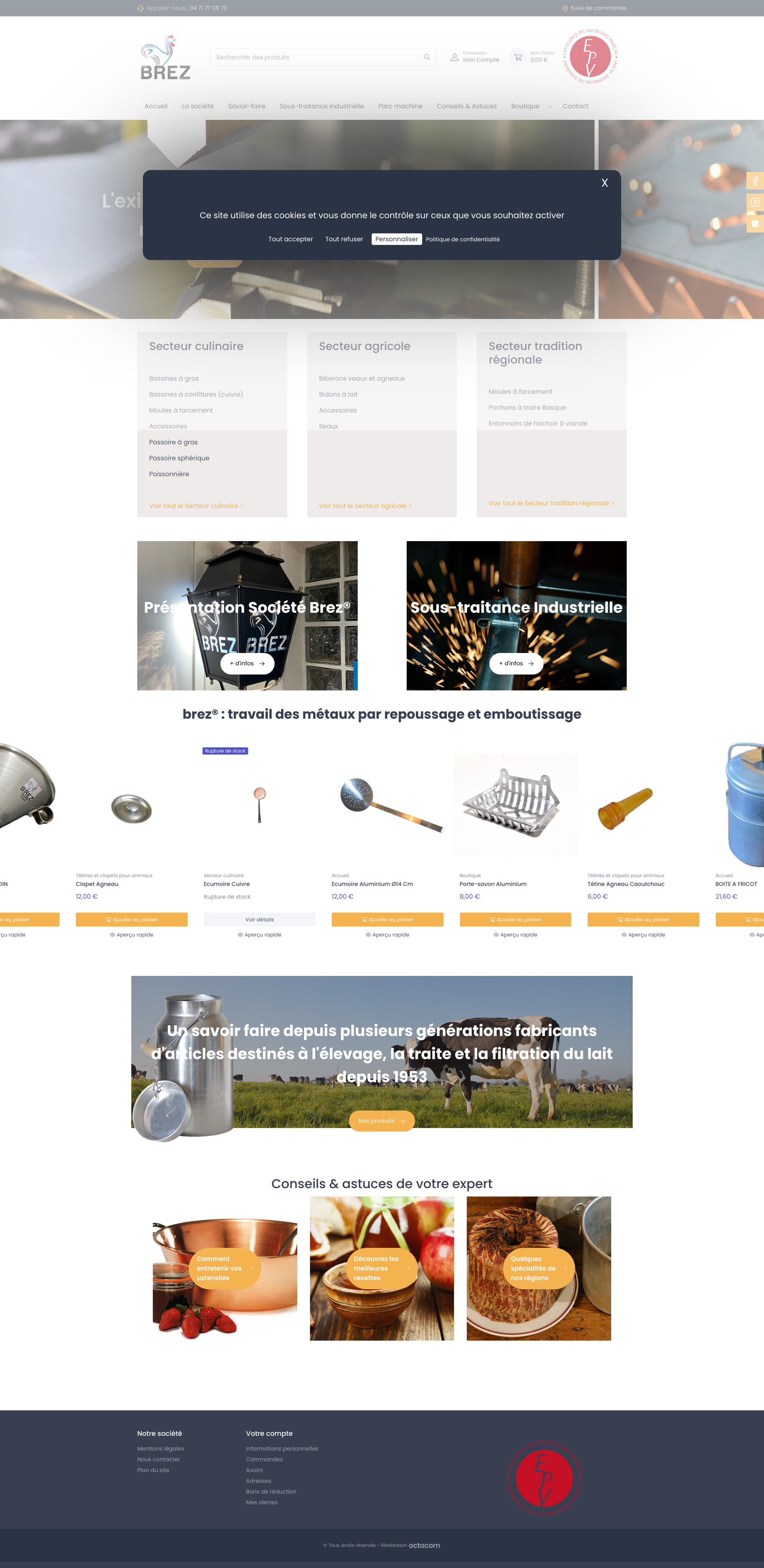 Aperçu du site