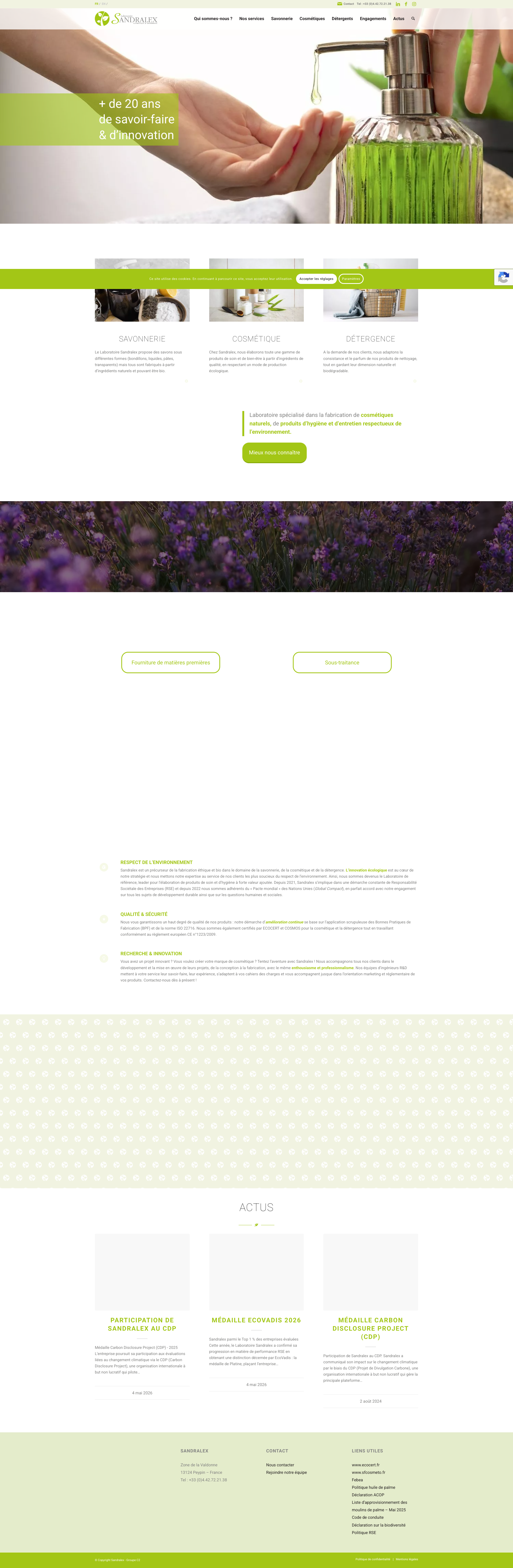 Aperçu du site