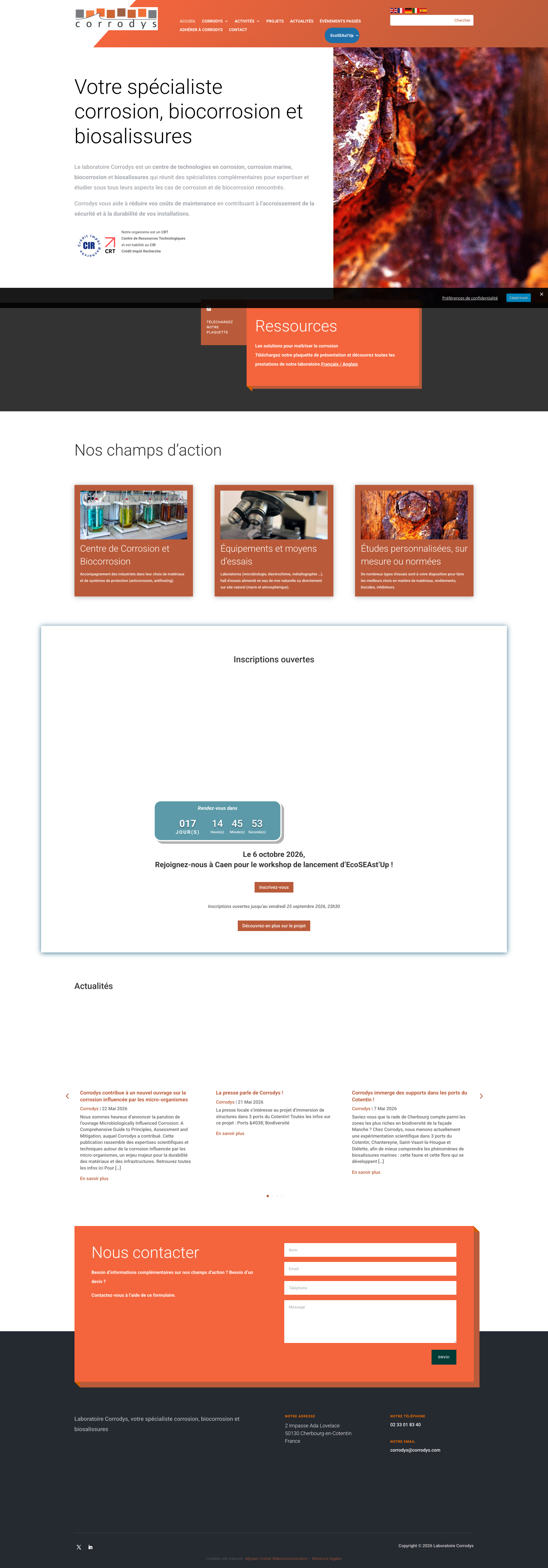 Aperçu du site