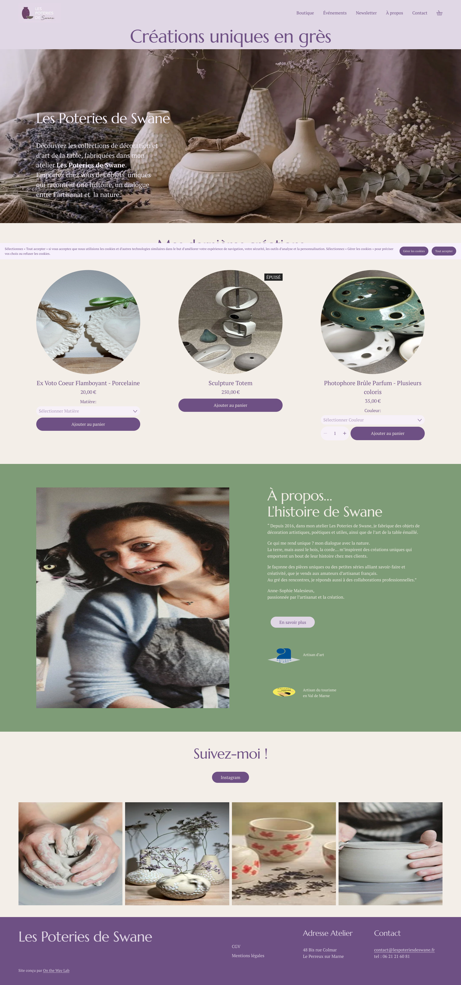 Aperçu du site