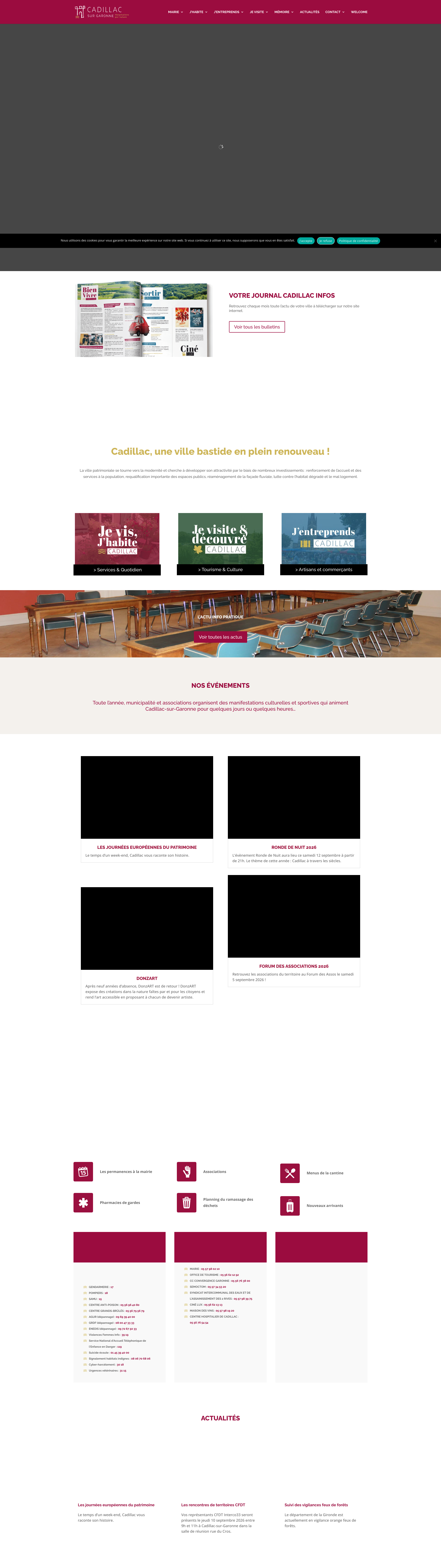 Aperçu du site