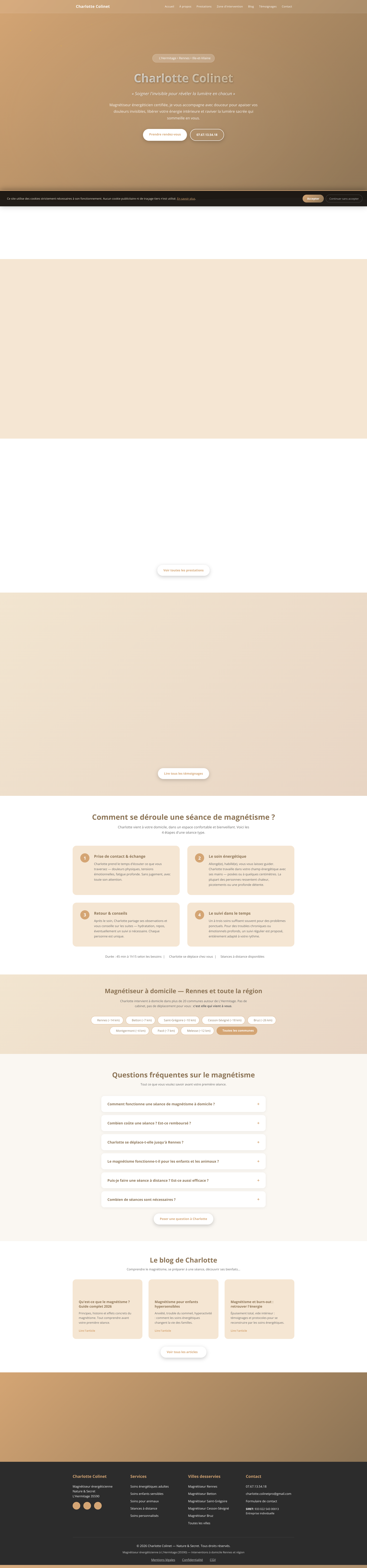 Aperçu du site