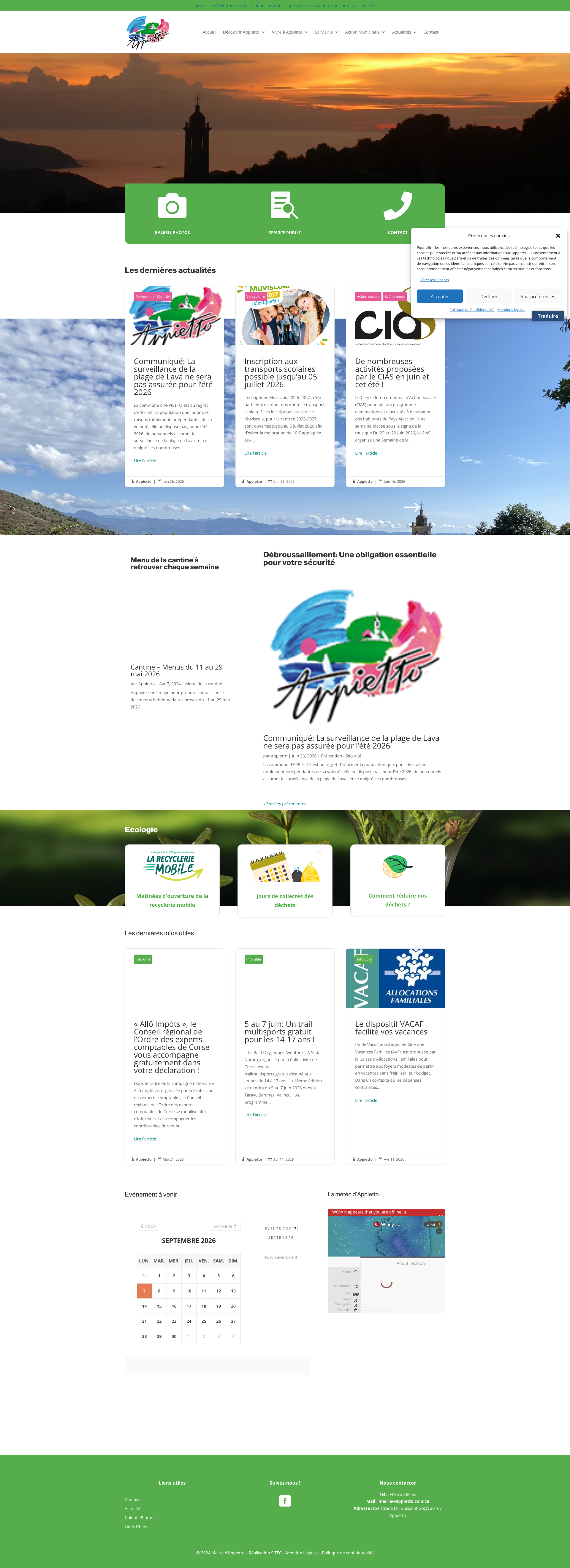 Aperçu du site