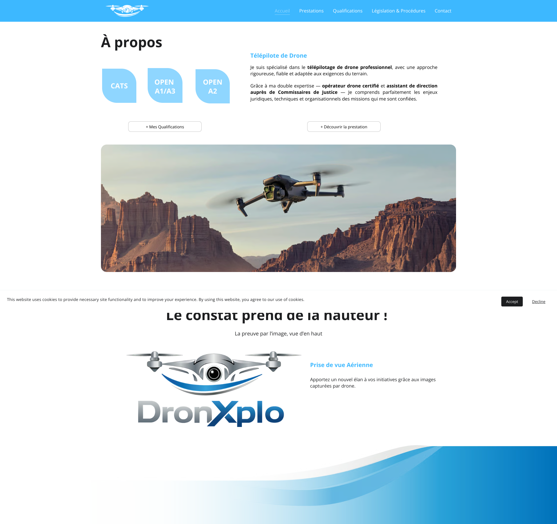 Aperçu du site