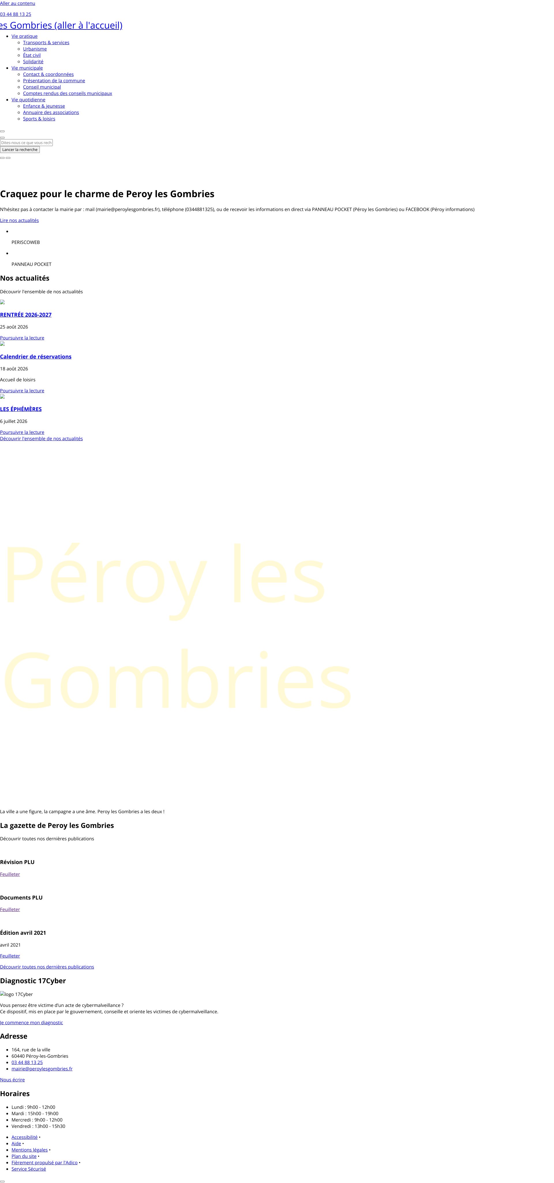 Aperçu du site