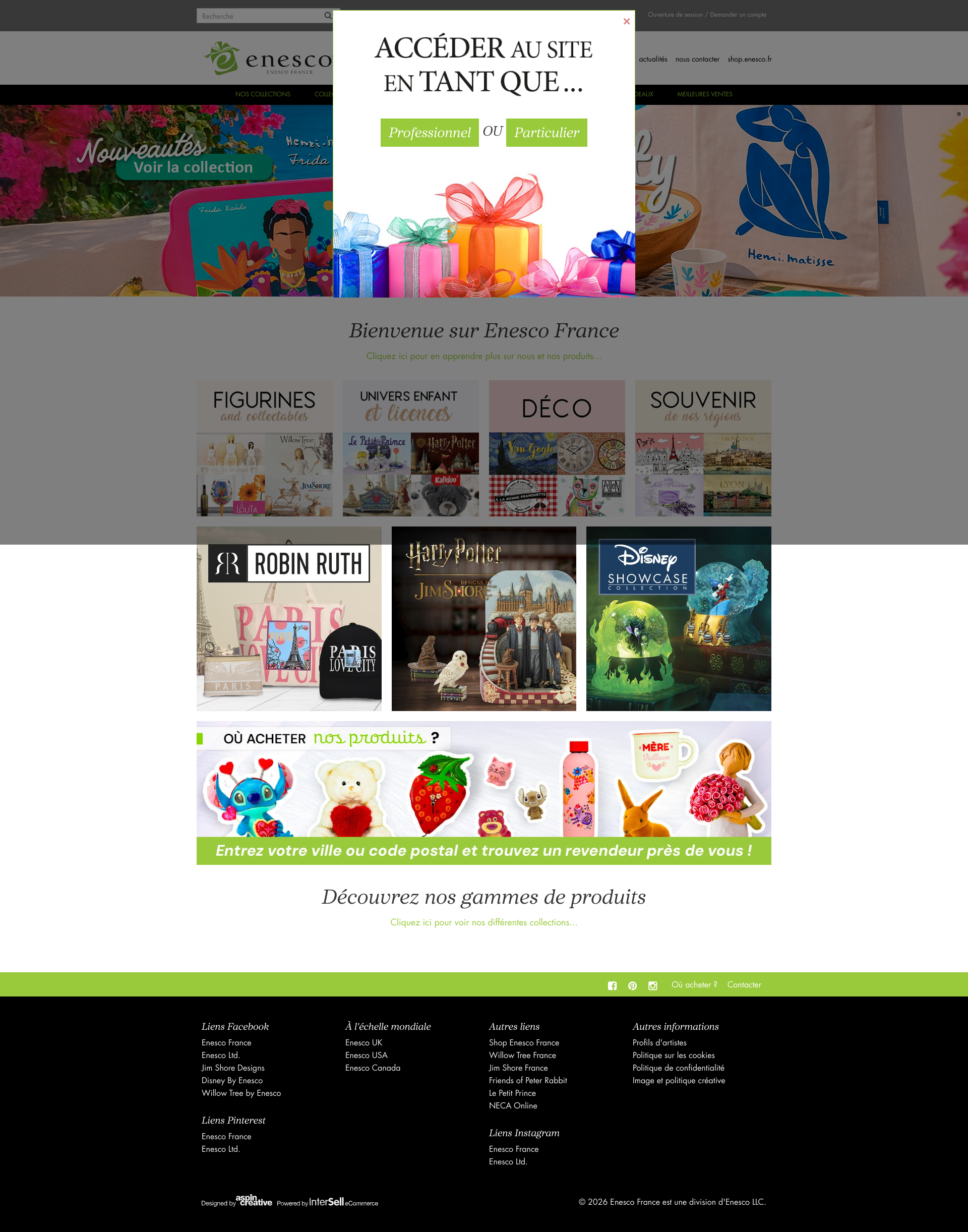 Aperçu du site