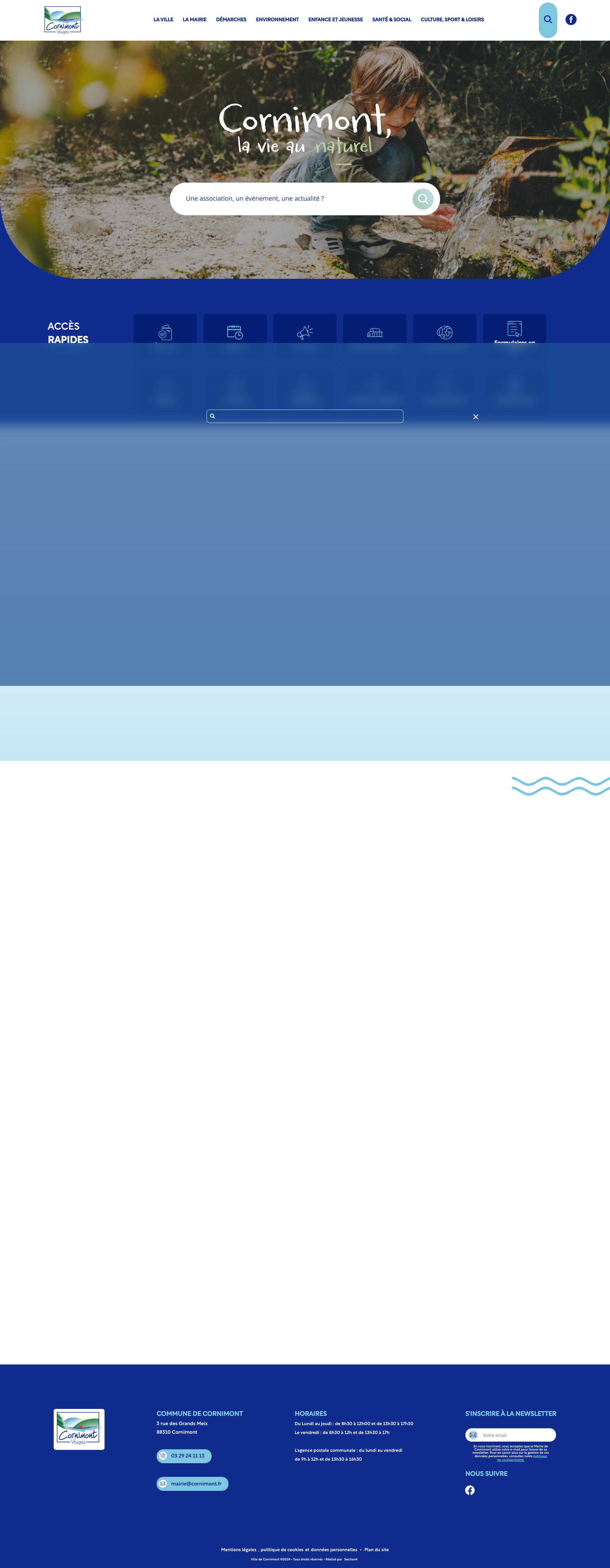 Aperçu du site
